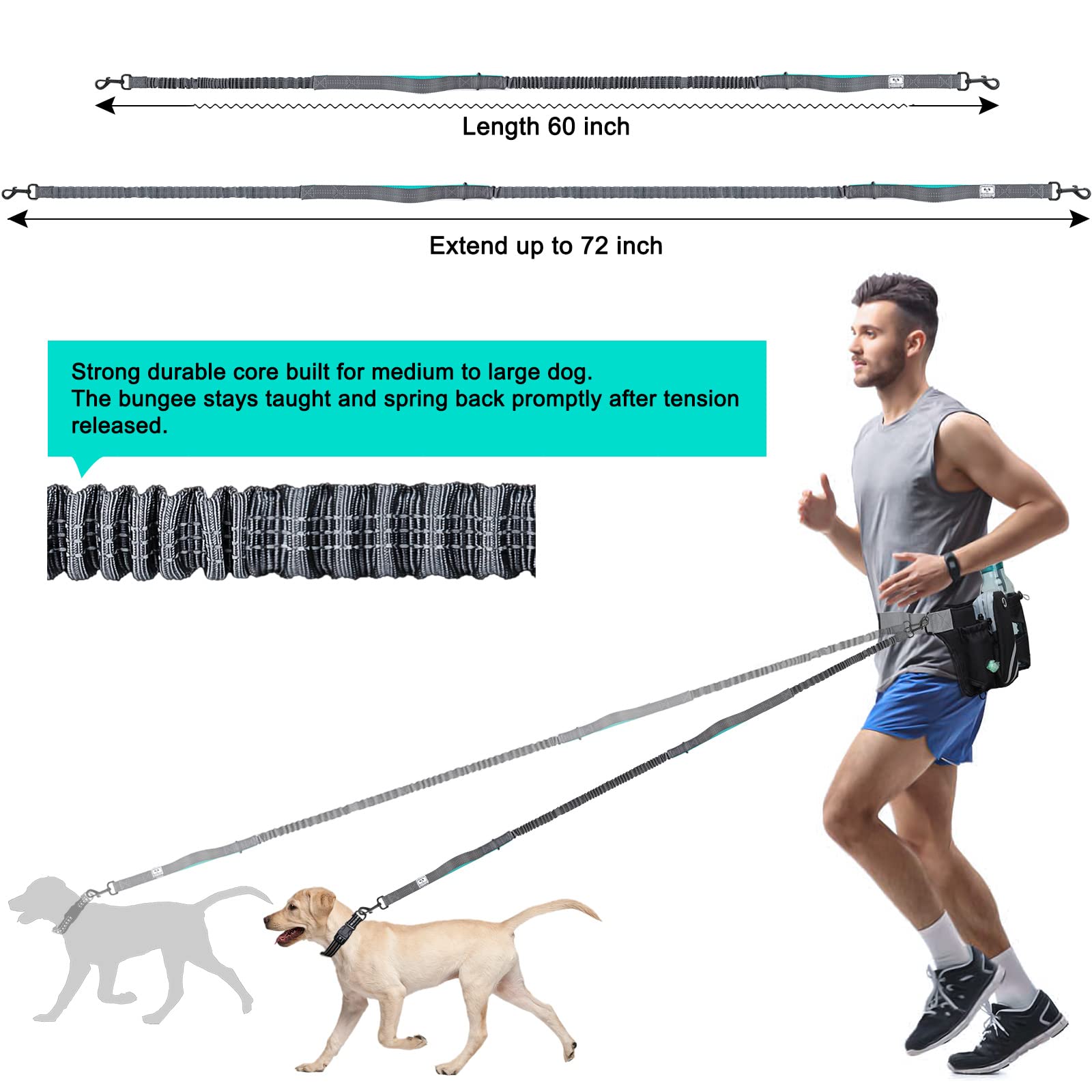 SHINE HAI Retractable Hands Free Dog Leash with Dual Bungees for 2 Dogs, Adjustable Waist Belt Fanny Pack, Reflective Stitching