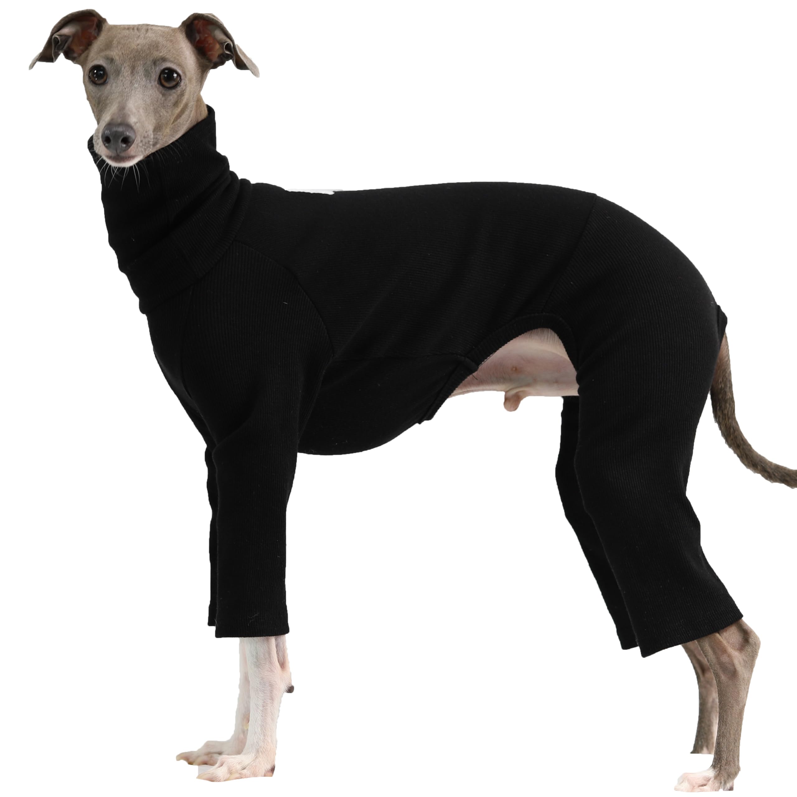 D DOGGY STAR Italian Greyhound Clothes Stretchable Onesie Whippet for Dog (L,Ribbed Black)