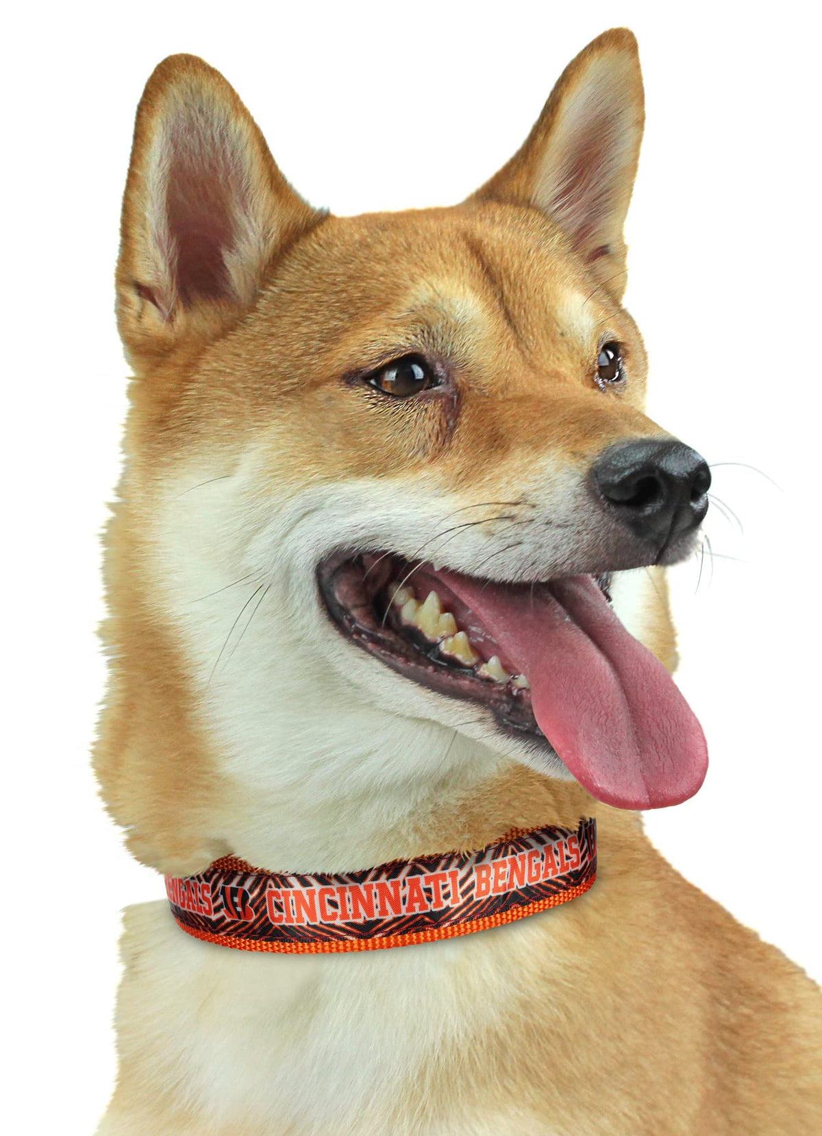 Zubaz Nfl Team Adjustable Pet Collar For Dogs & Cats, Cincinnati Bengals, Medium