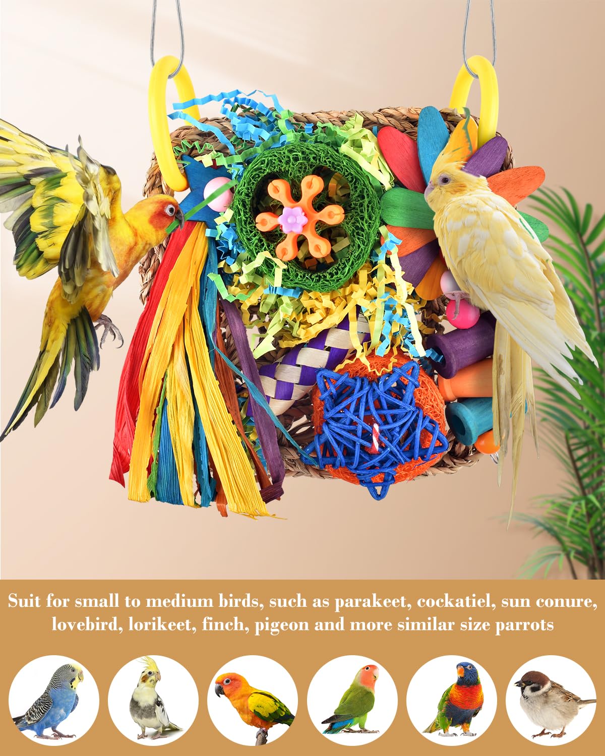 Erkoon Bird Cockatiel Toys Foraging Toys Hanging Parrot Toys For Lovebrid Parakeets Conures Bird Foraging Wall With Colorful Toy