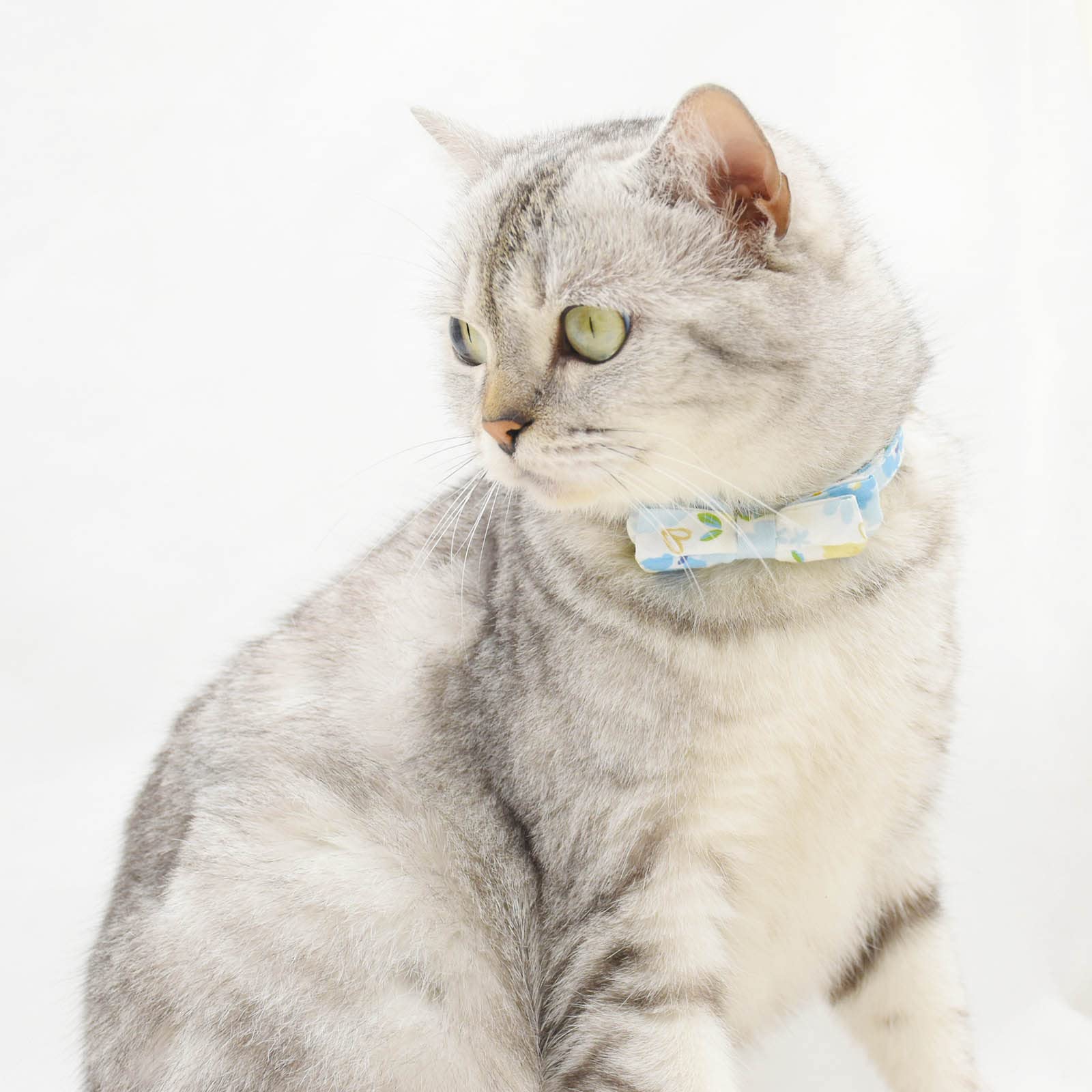 Bowtie Cat Collars Breakaway With Bell, Adjustable Cute Kitty Collars Safety Buckle Kitten Collar For Cat Puppy 7.5-11In (Blue F