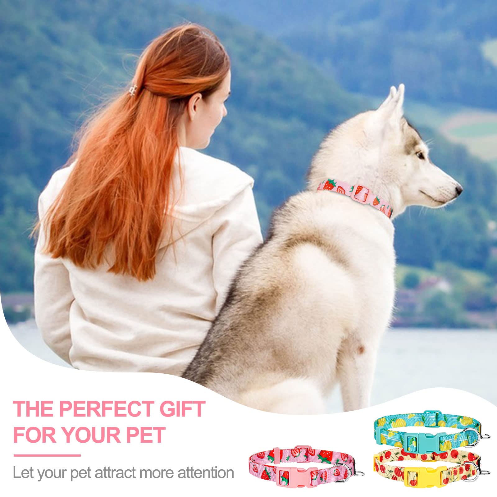 Azuza 3 Pack Fruit Design Dog Collars Comfortable And Adjustable Nylon Dog Collars For Medium Dogs, M (14-20Inch),Strawberry,Lem
