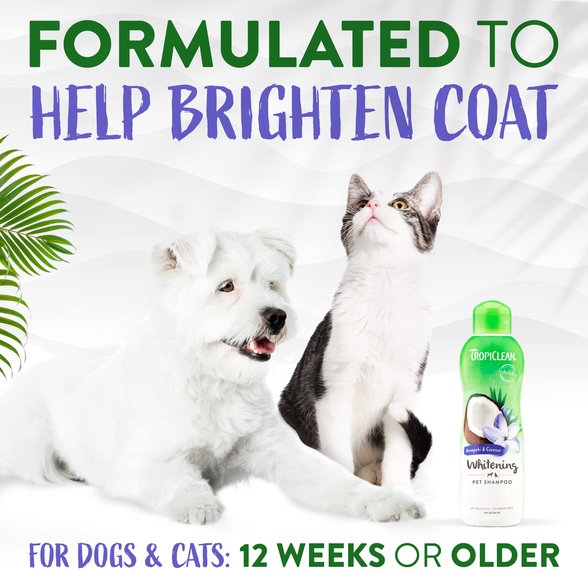 Tropiclean Whitening Dog Shampoo, Professional Dog Shampoo, Whitening & Brightening, For All Coat & Color Types, Puppy Safe, Made In Usa, 1 Gallon
