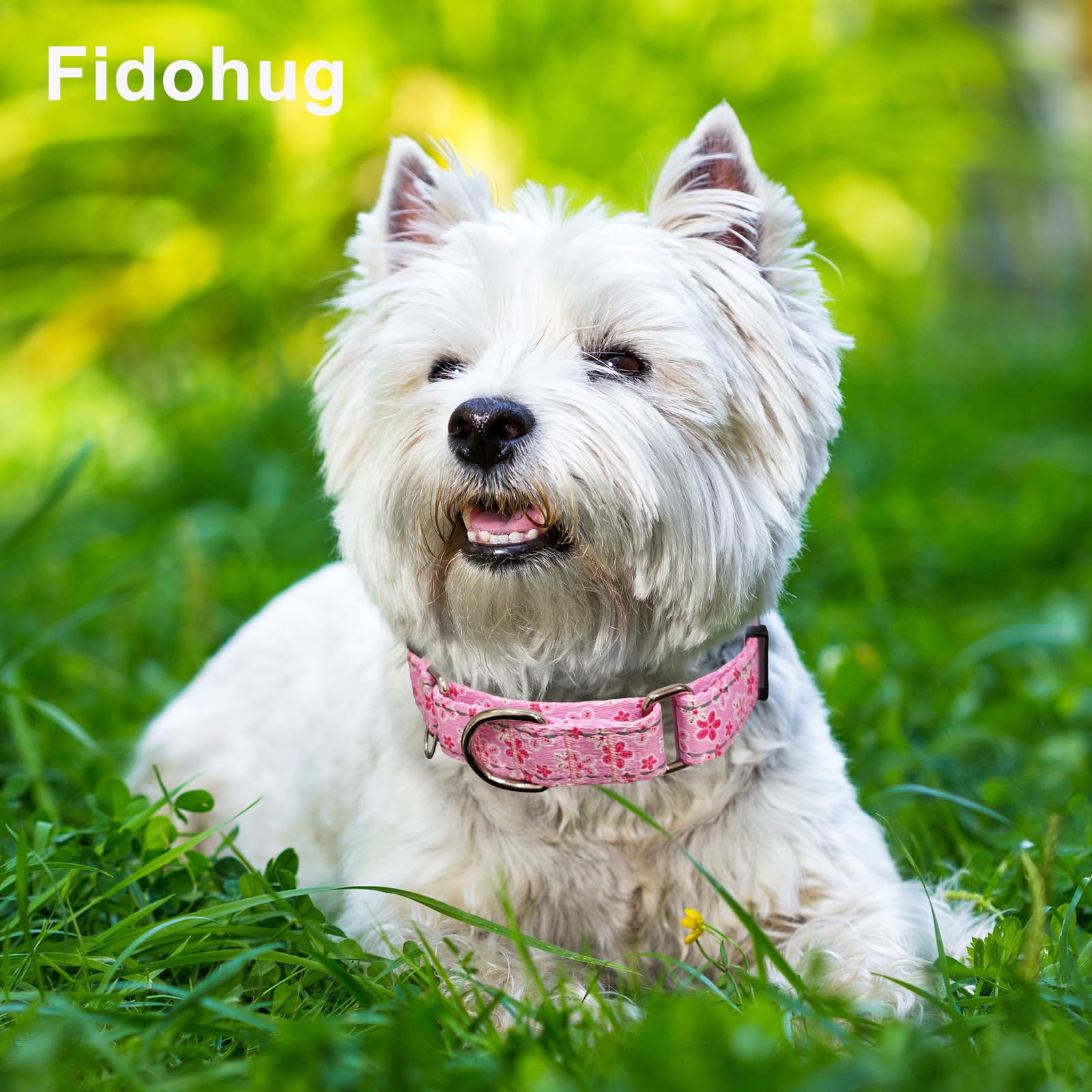 Fidohug Reflective Martingale Collar For Dogs With Quick Release Buckle Cute Girl Female Flower Dog Collars (Pink Floral, Medium