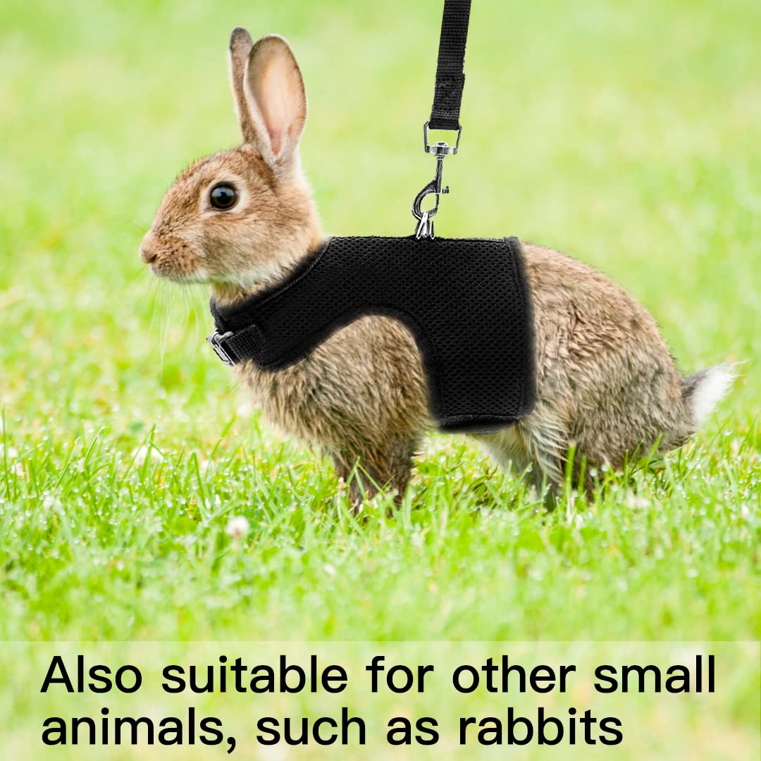 Pupteck Soft Mesh Cat Vest Harness And Leash Set Puppy Padded Pet Harnesses Escape Proof For Cats Small Dogs Rabbits Bunny, Black Xl
