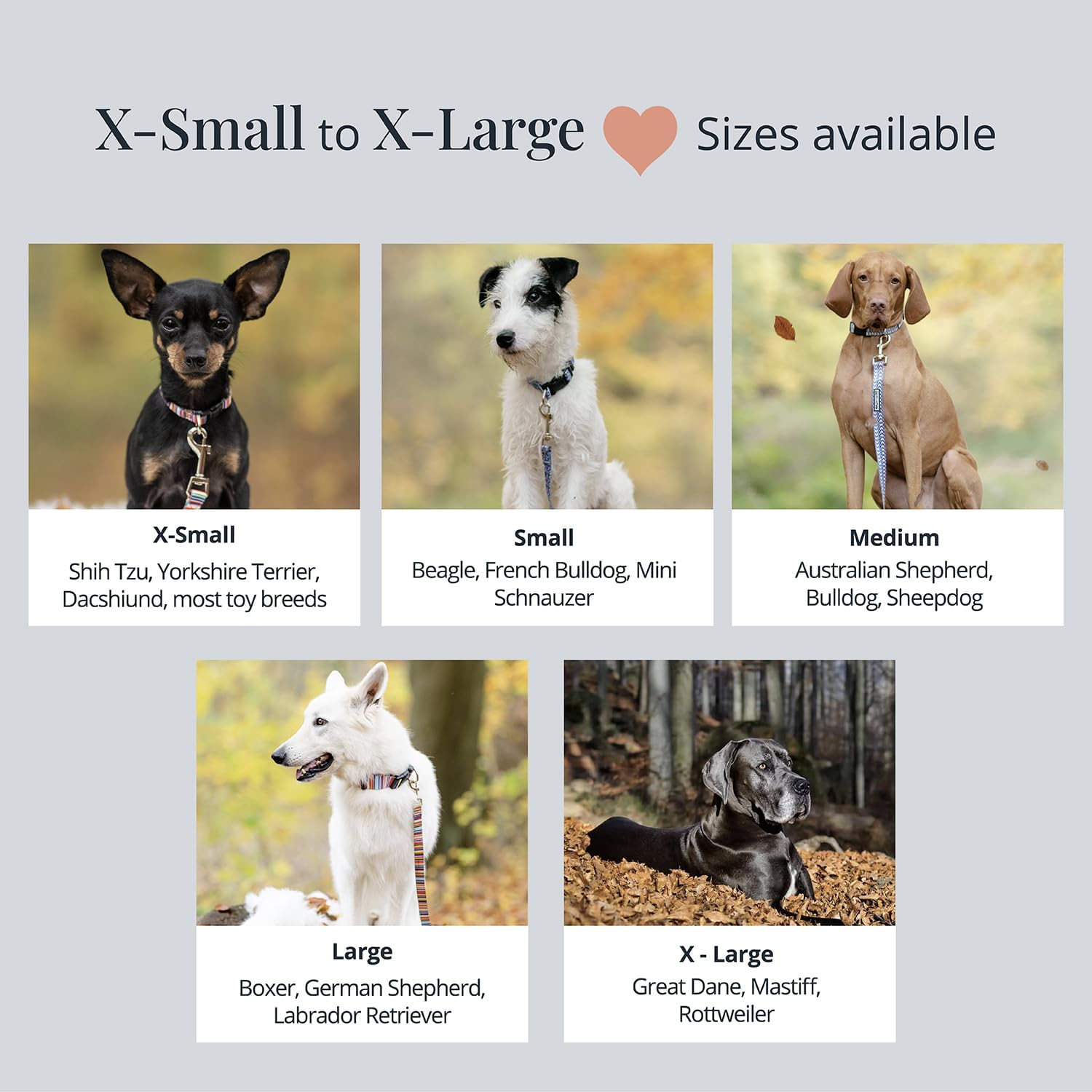 Lucky Love Dog Collar, Beautiful & Vivid Patterns, Rainbow Dog Collar For X-Large Dogs, Easy On & Off Clasp Accessory (Hippie, X