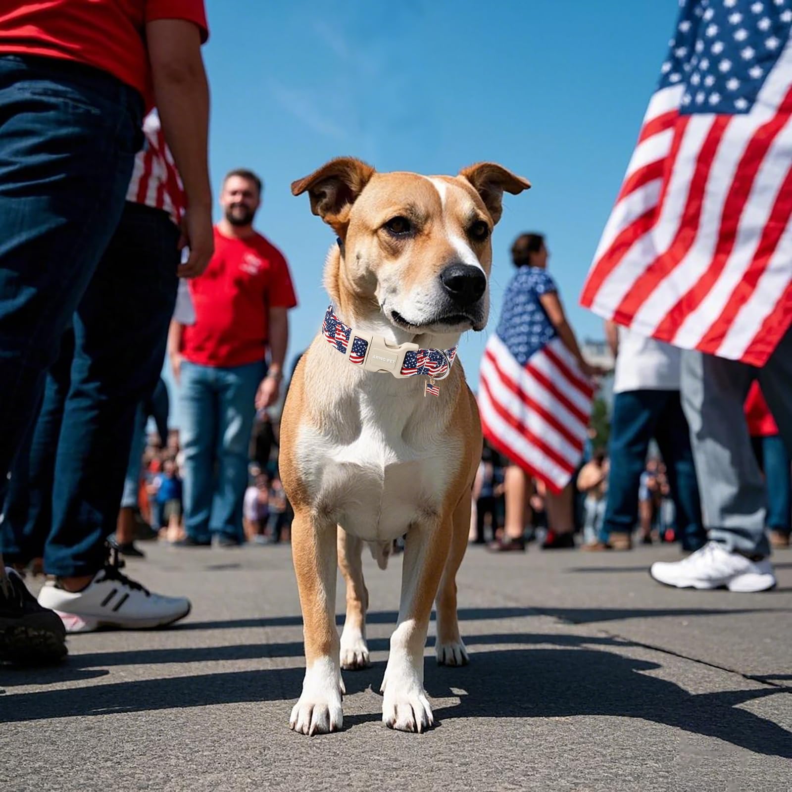 Aring Pet American Flag Dog Collar-Cute 4Th Of July Dog Collars, Adjustable Patriotic Pet Collars Puppy Collar With Quick Releas