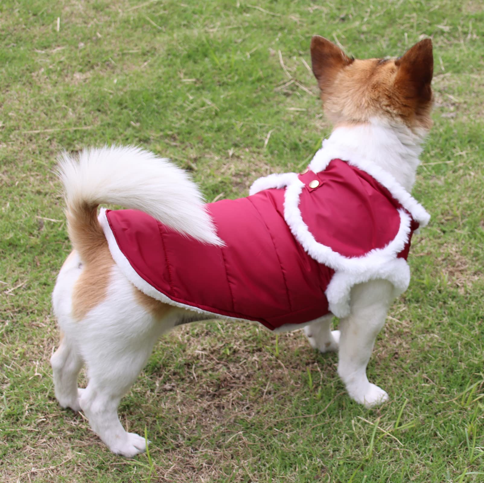 Joydaog Shawl Design Fleece Lined Warm Dog Jacket For Puppy Winter Cold Weather,Soft Windproof Small Dog Coat,Red M