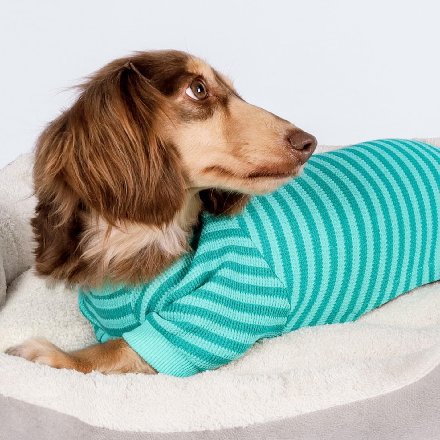 Fitwarm Green And Teal Striped Dog Pajamas, Waffle Dog Clothes For Small Dogs Girl Boy, Puppy Onesie With Feet, Pet Cat Outfit,