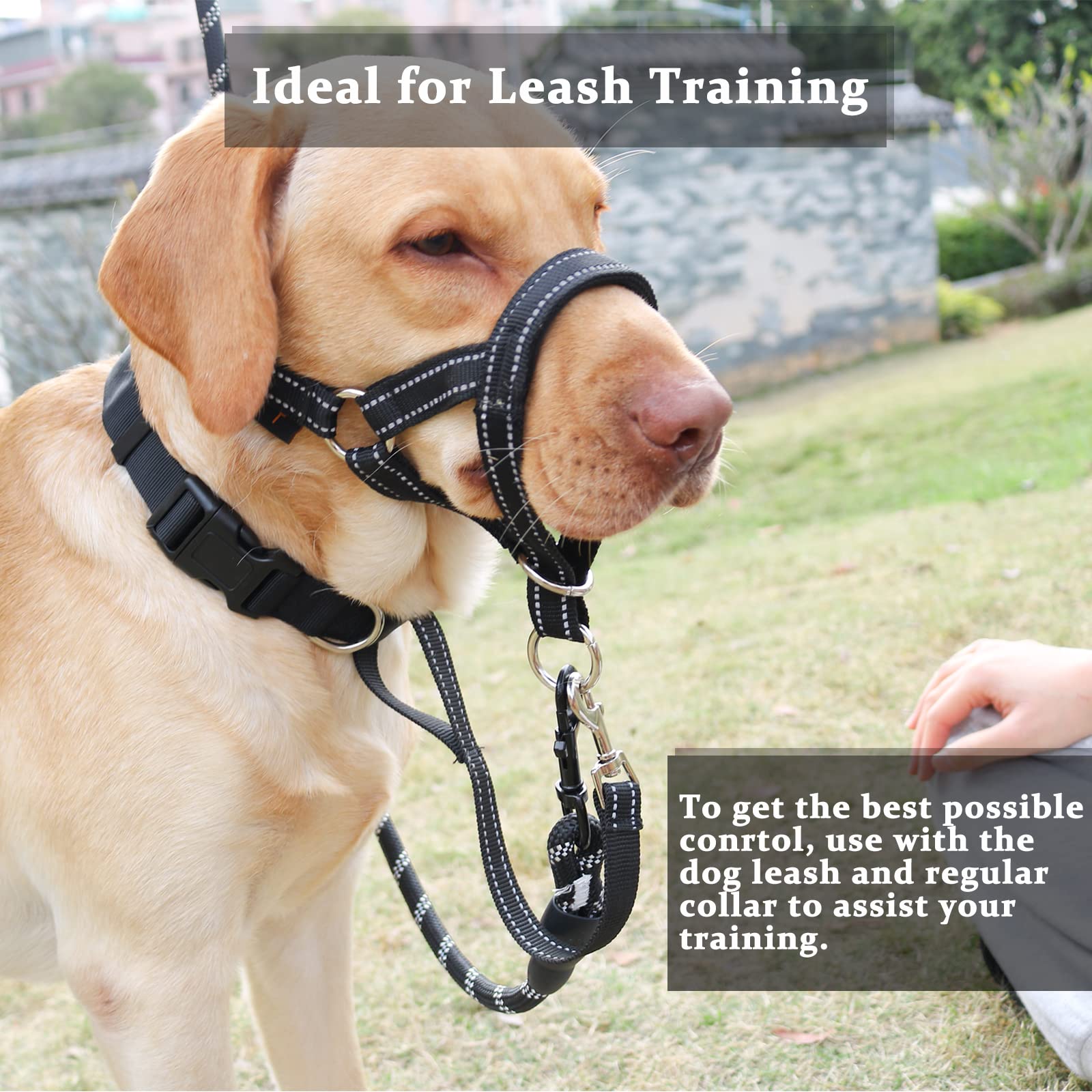 Barkless Dog Head Collar, No Pull Head Halter With Soft Padding, Reflective Soft Padded Snout Harness For Large Dogs, Labrador, Golden Retrievers, German Shepherd