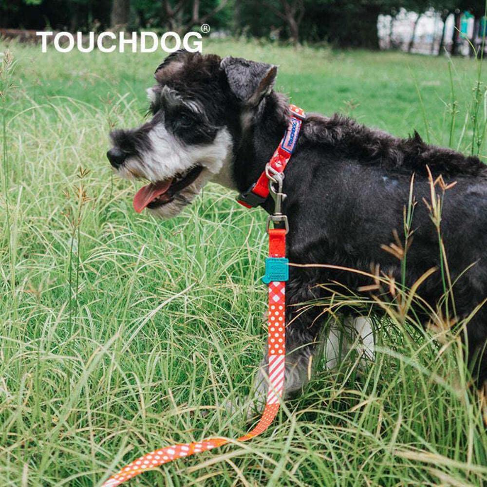 Touchdog ®'Trendzy' 2-In-1 Matching Fashion Designer Printed Dog Leash And Collar
