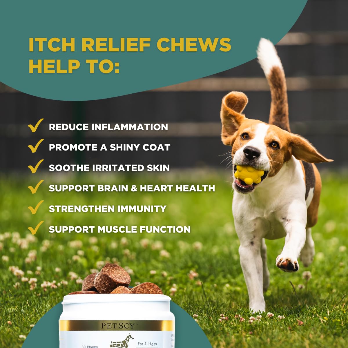 Petscy Dog Itch Relief Chews with Omega 3 - 30 Chews, Pork Flavor, Nutritional Support for Itchy Skin