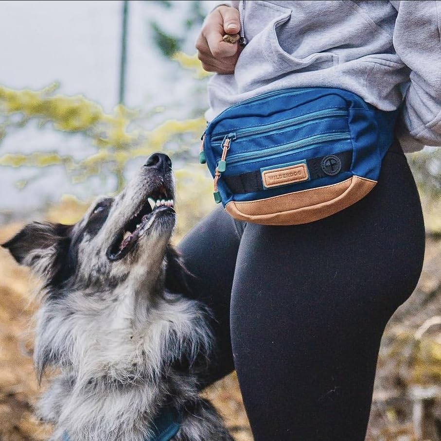 Wilderdog Utility Fanny Pack - Adjustable Strap, 3 Pockets, Poop Bag Dispenser, One Size, Pacific Blue