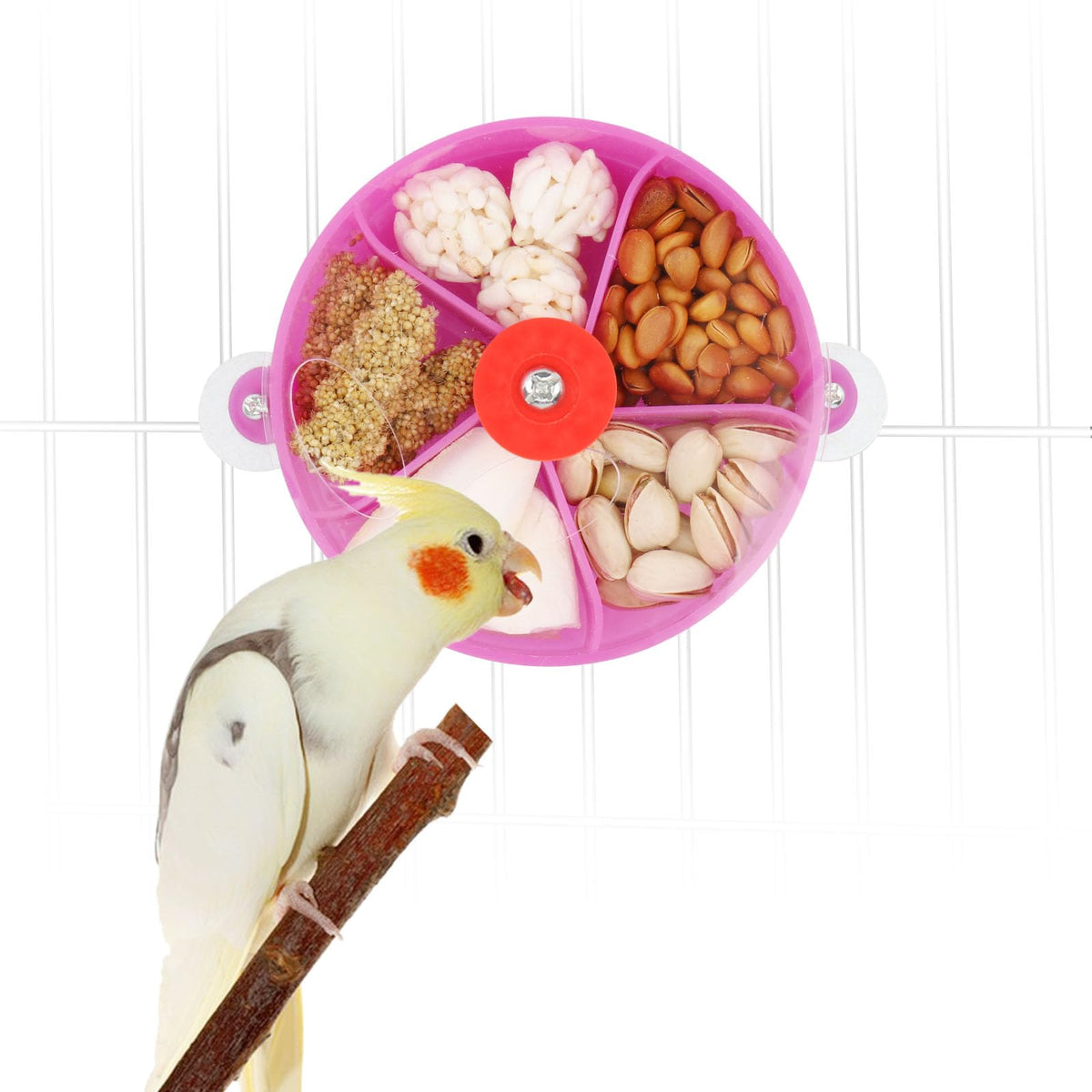 Bird Creative Foraging System Wheel Seed Food Ball Rotate Training Toy for Small and Medium Parrots Parakeet Cockatiel Conure (P