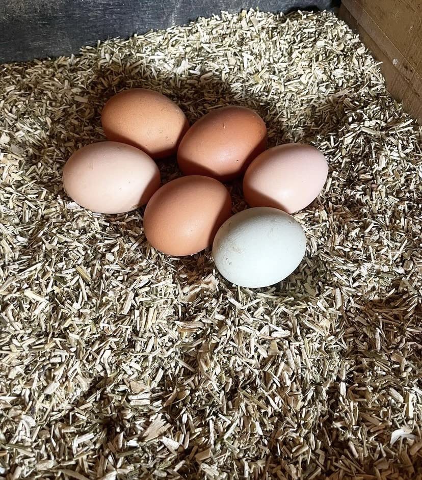 Eaton Pet And Pasture, Naturally Grown Hemp Pet Bedding For Chickens, Nesting Boxes, Rabbits, Hamsters, Small Pets, Highly Absorbent, Hypoallergenic, Eco-Friendly, Farmer Owned 28L