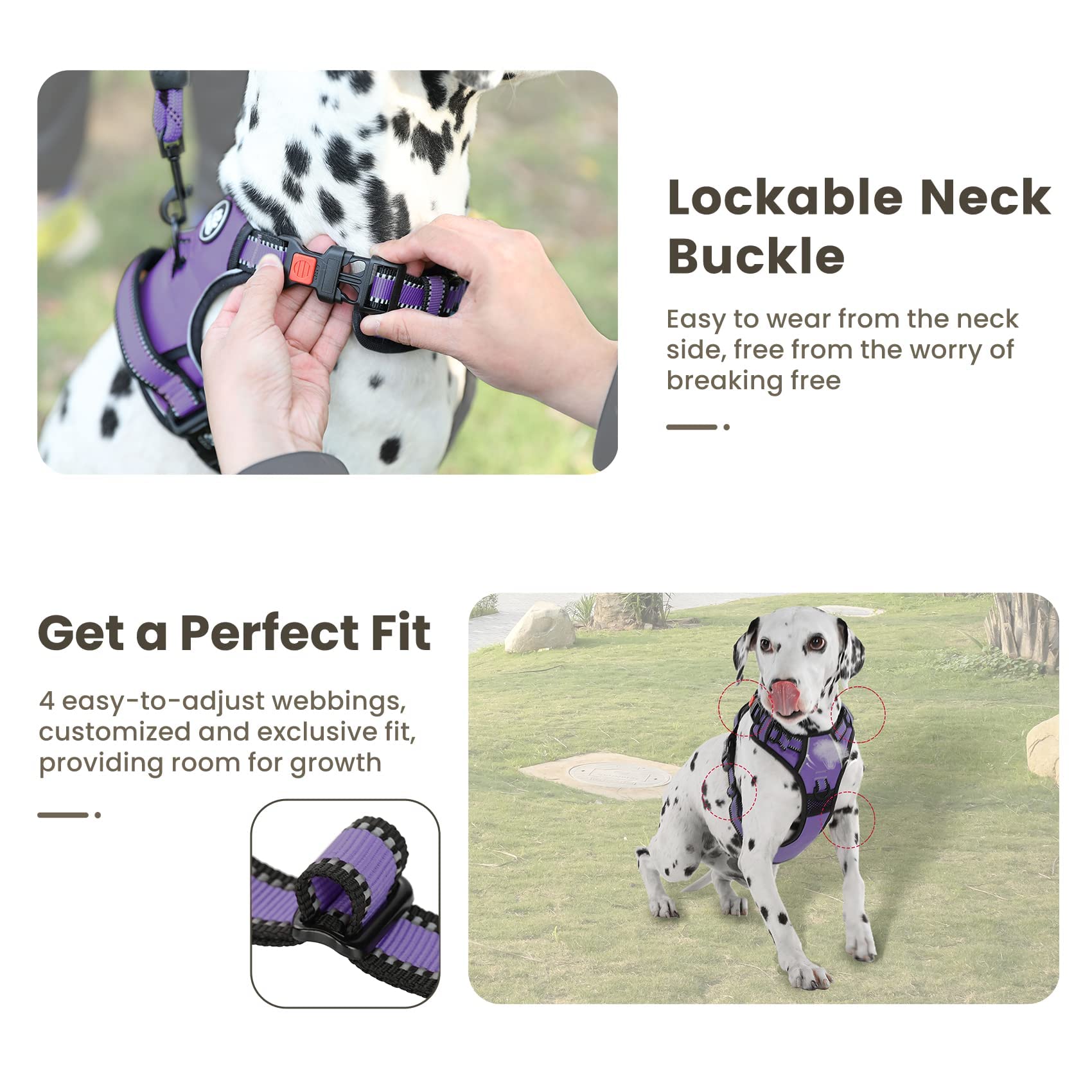 Furryfection No Pull Dog Harness, Reflective Vest Harness With Leash No Choke Soft Padded Dog Vest, Adjustable Front Lead Dog Harnesses With Dog Seat Belt For Small Medium Large Dogs, Purple, S