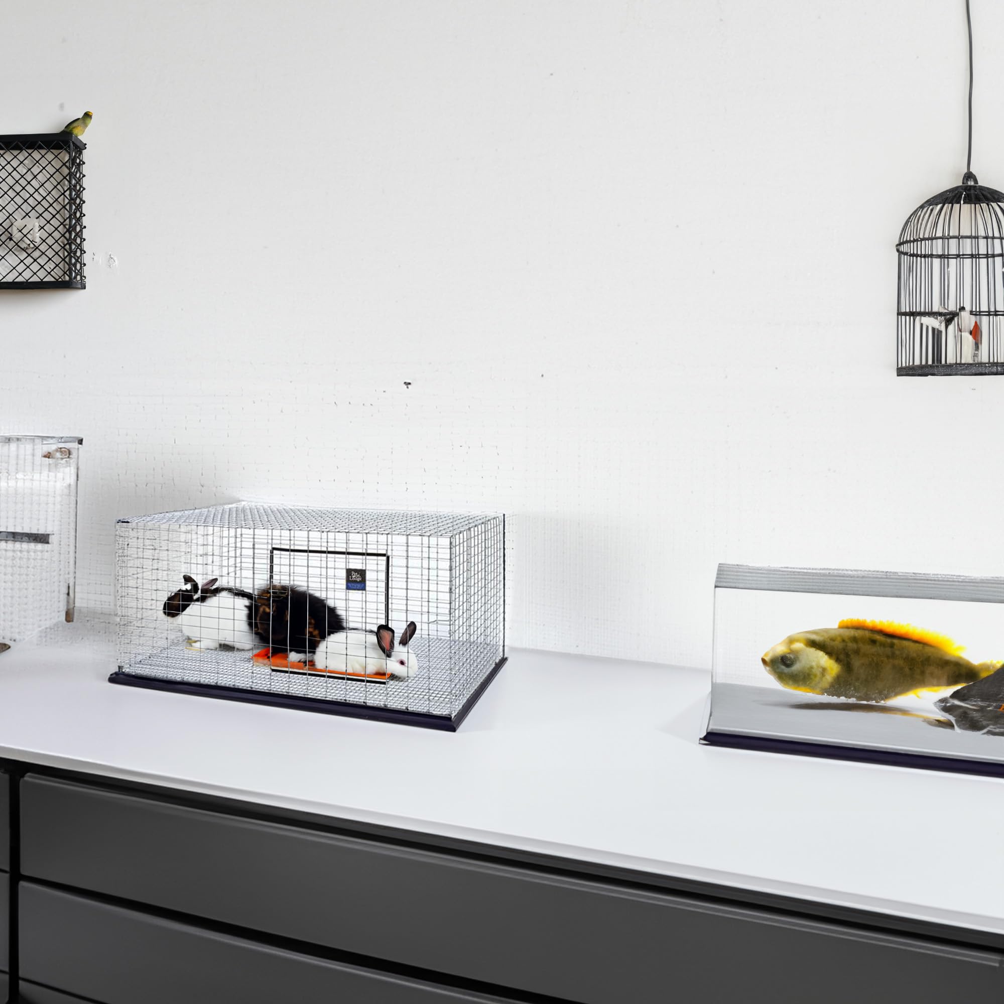 Little Giant Wire Rabbit Hutch - Pet Lodge - Heavy Duty Galvanized Rabbit Home, Easy To Assemble (30'' X 36'') (Item No. Ah3036)