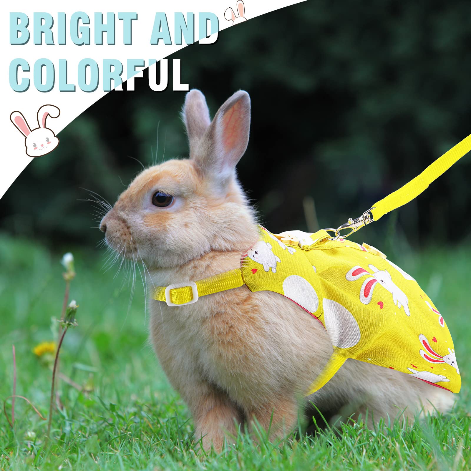 3 Piece Cute Rabbit Leash And Harness Set, Bunny Rabbit Dress Clothes Walking Harness Vest Escape Proof Pet Supply For Rabbit Hedgehog Ferret Guinea Pig (Cake, Bunny, Pineapple)