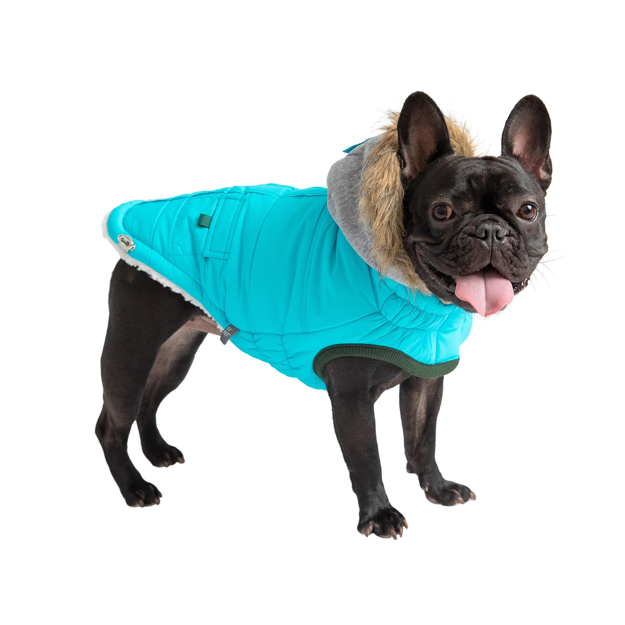 Gf Pet - Winter Sailor Parka - (Small, Aqua)