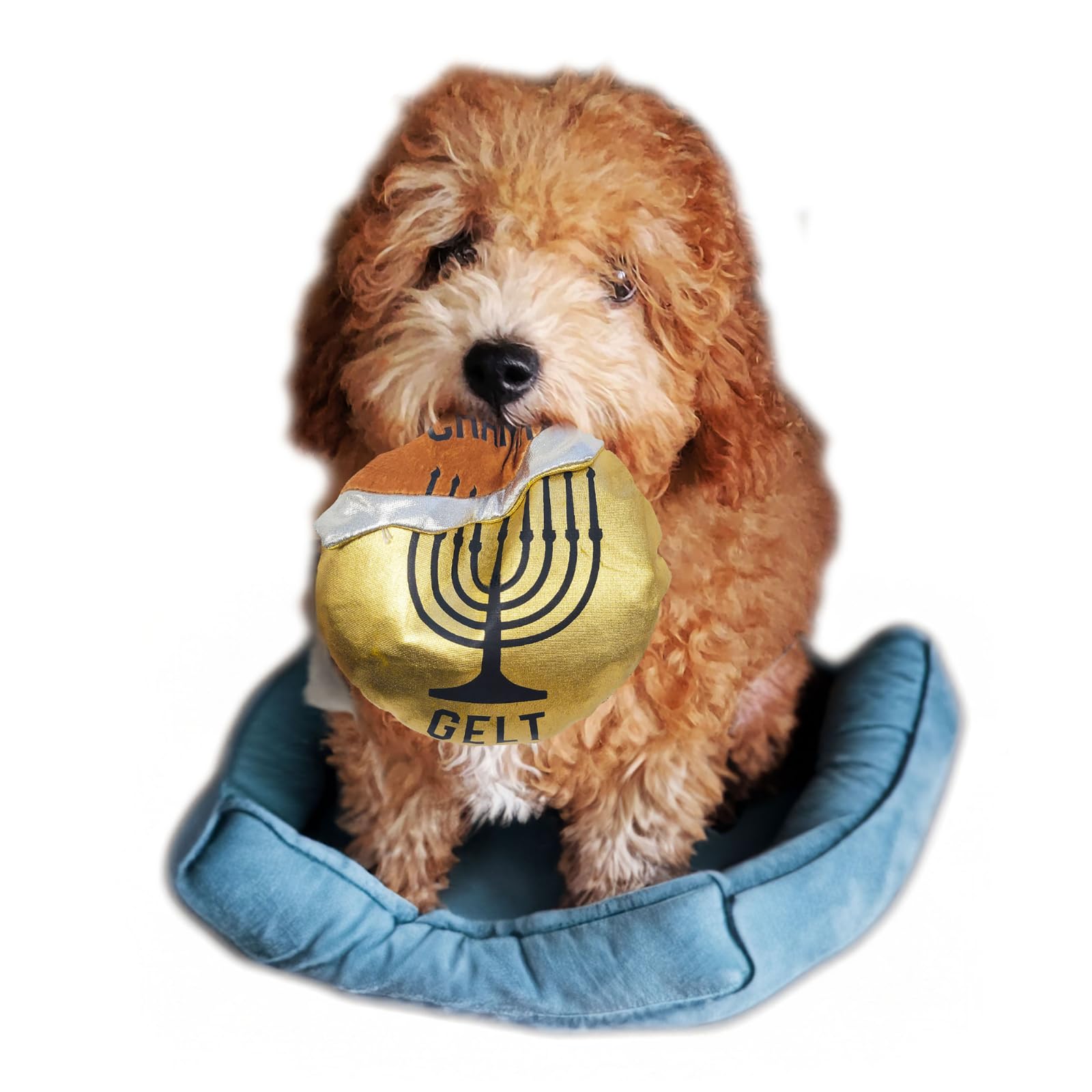 Rite Lite Hanukkah Gelt Coin Dog Toy - Chewdaica Oxford Material Hanukkah Gifts for Dog Owners, Judaica Jewish Holiday Party Fav