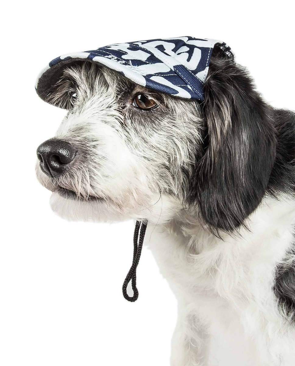 Bone Cappa Graffiti Sculptured Uv Protectant Adjustable Fashion Dog Hat - Zebra Pattern, Large