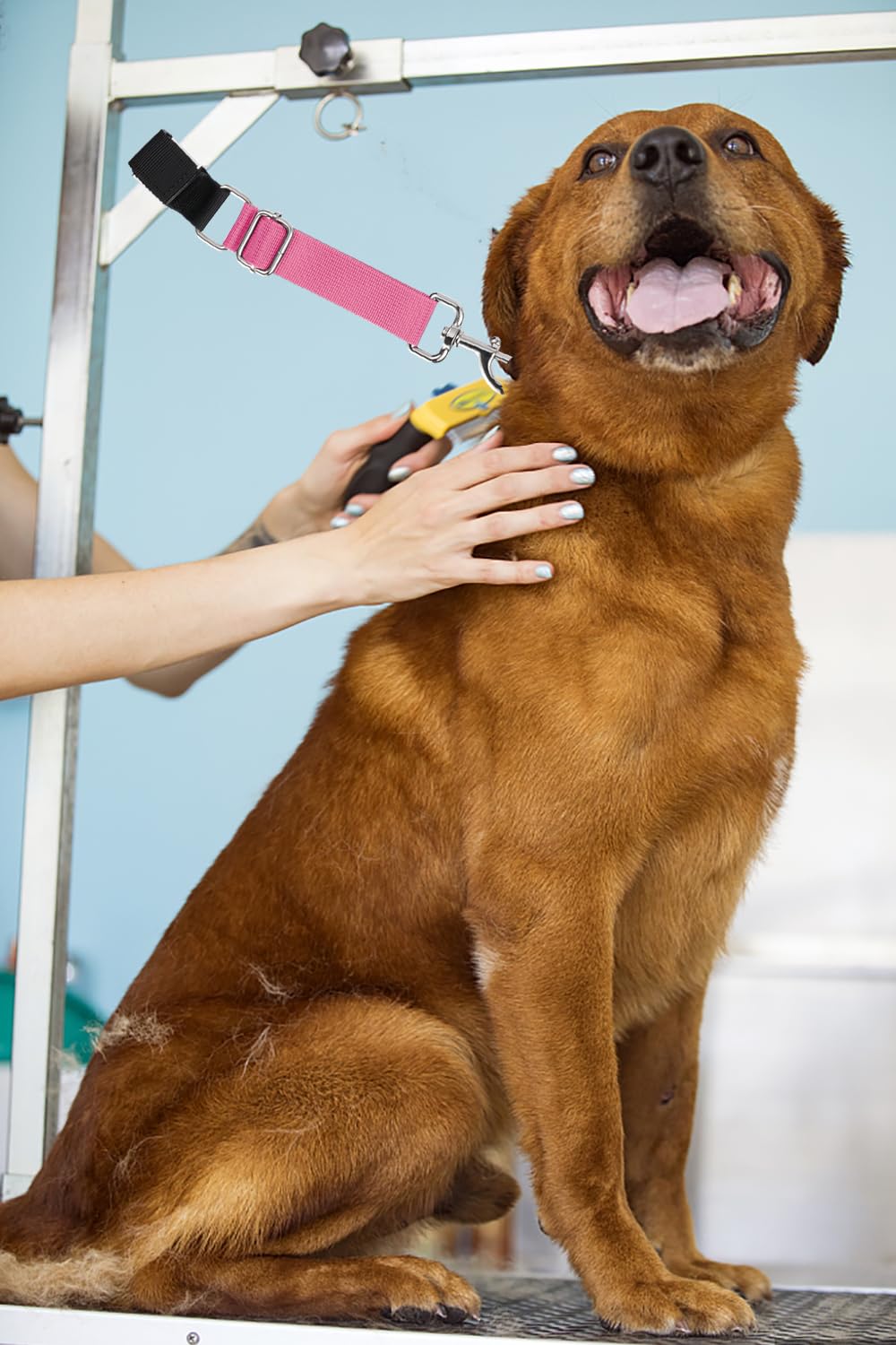 Pet Dog Grooming Table Arm Accessories Dog Grooming Loops For Table Arm Extender Adjustable Extension Loop Bathing Restraint Lea