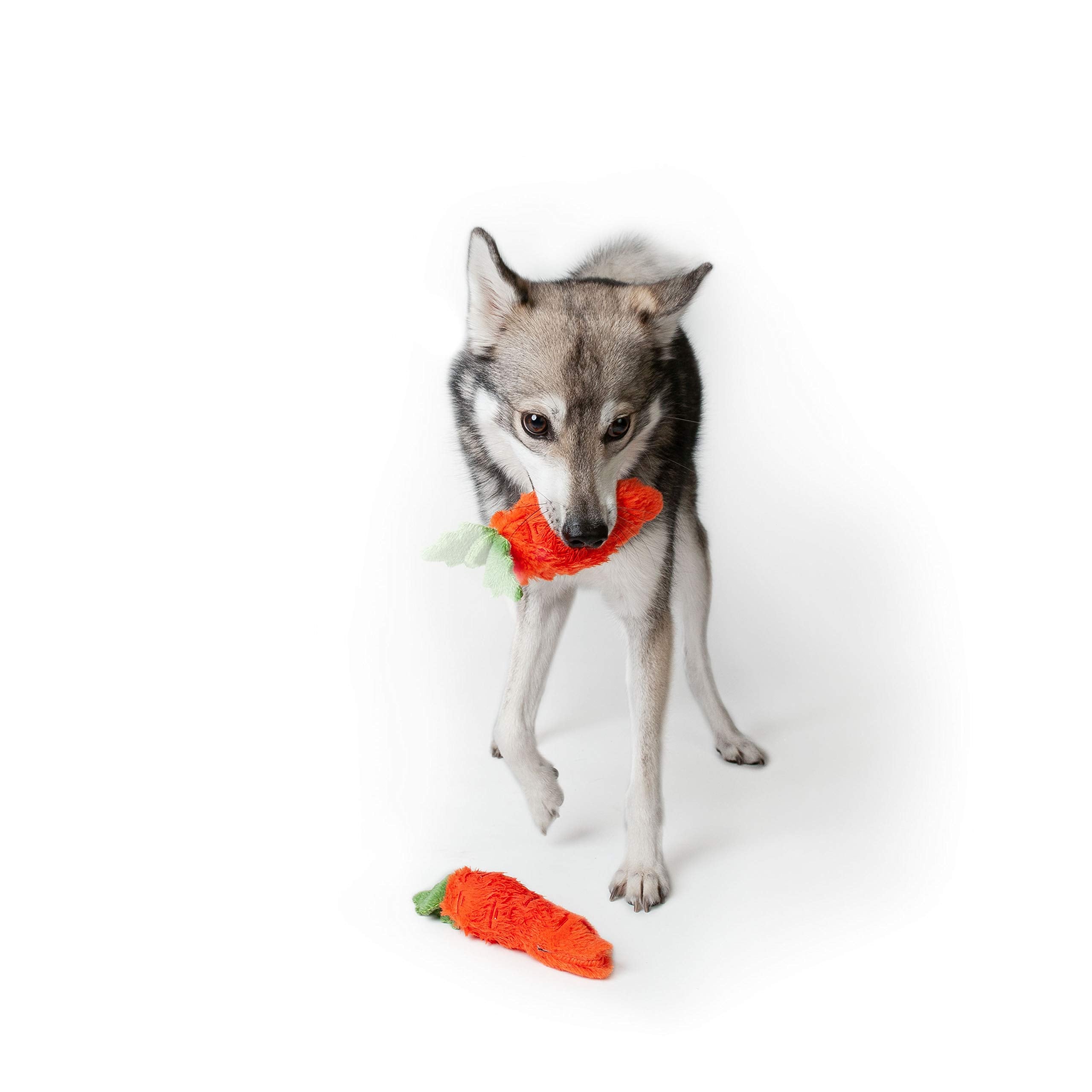 Midlee Plush Carrot Easter Dog Toy- Pack Of 2