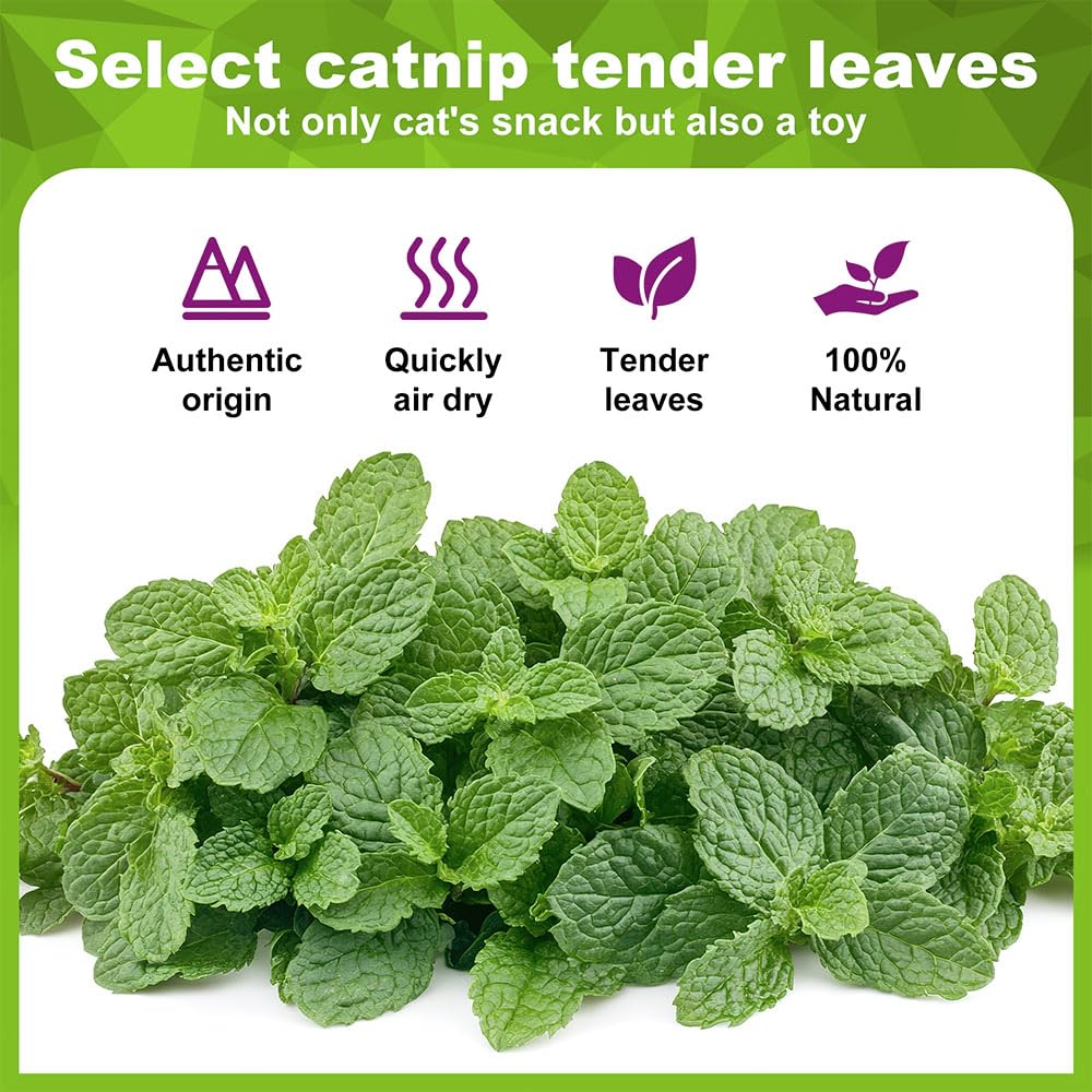 Nzlomxu Catnip Balls Kitten Cat Nip Ball Licker Toy Natural Catnip Ball For Cats Of All Breeds,Cat Lick Ball Toys That Fascinate