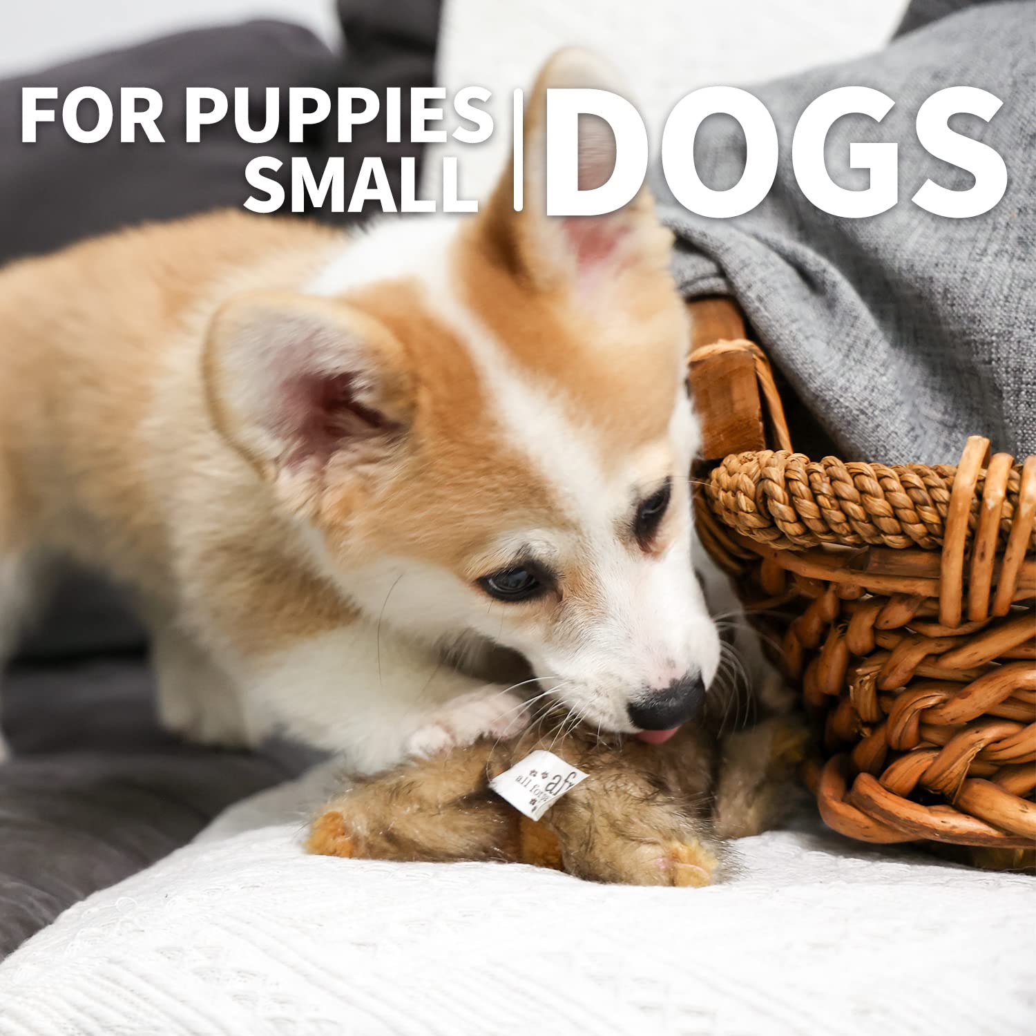 All For Paws Classic Brown Rabbit Pet Toys, Small