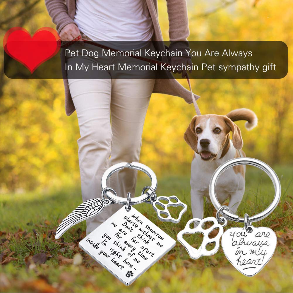 Oubaka Pet Memorial Keychain Gift - When Tomorrow Starts Without Me Remembrance Keychain Pet Loss Sympathy Keychain Memorial Gif