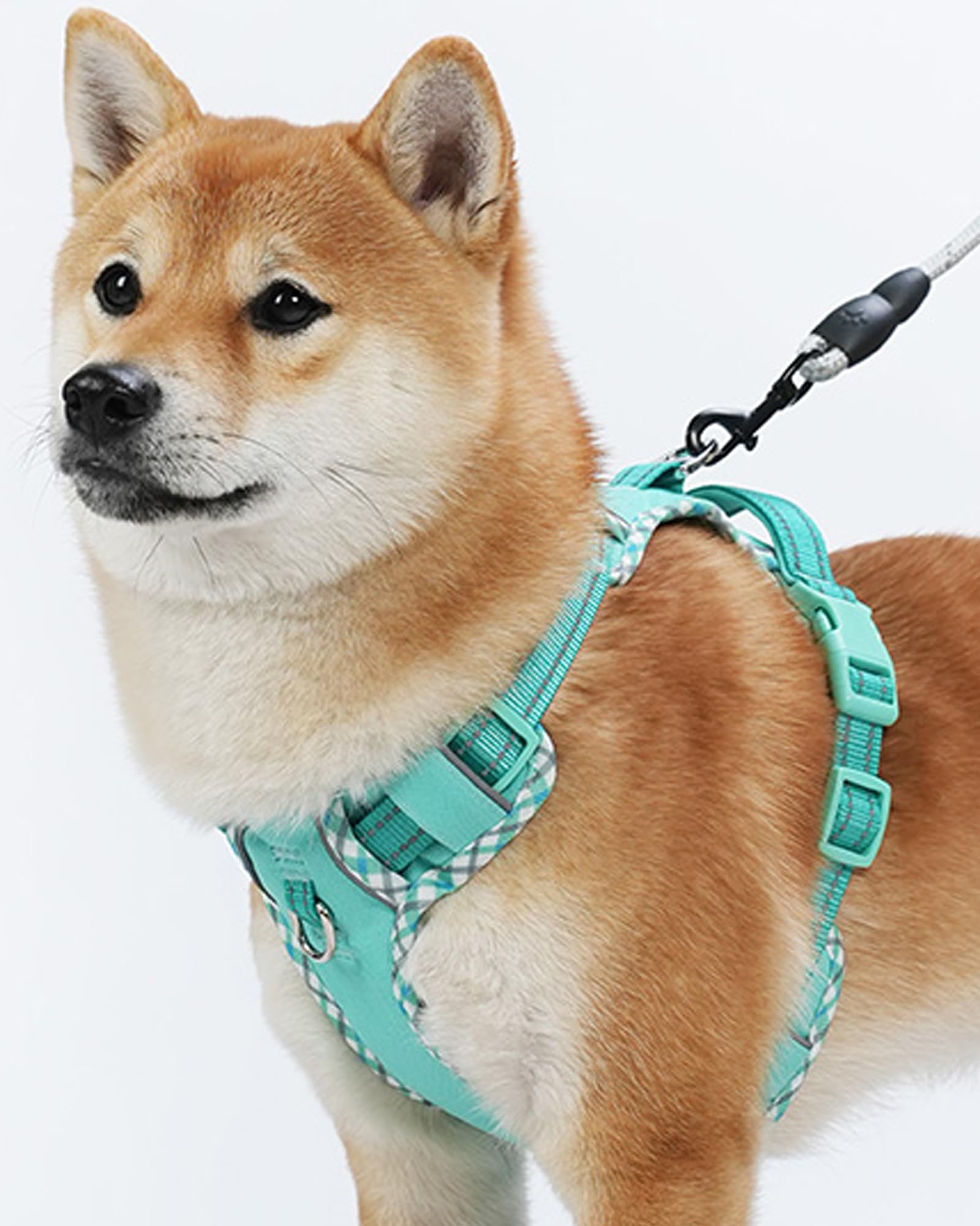 Petank Dog Harness Large Sized Dog, Puppy Harness Large Size Dog For Dog Training Walking, No Pull Dog Harness For Large Dogs, L