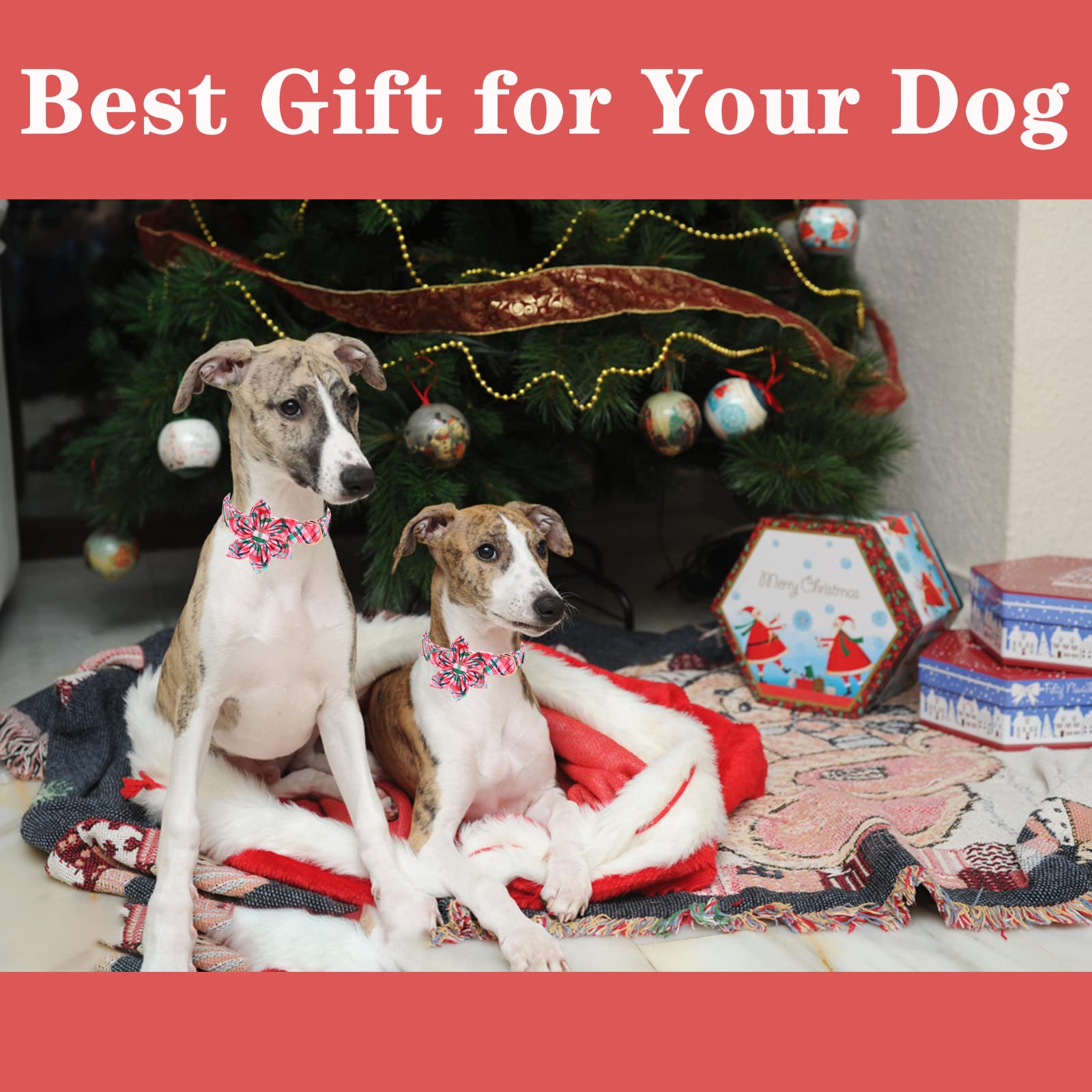 Unique Style Paws Dog Collar With Flower Pink & Green Plaid Dog Collar Best Gifts For Small Medium Large Dogs -S