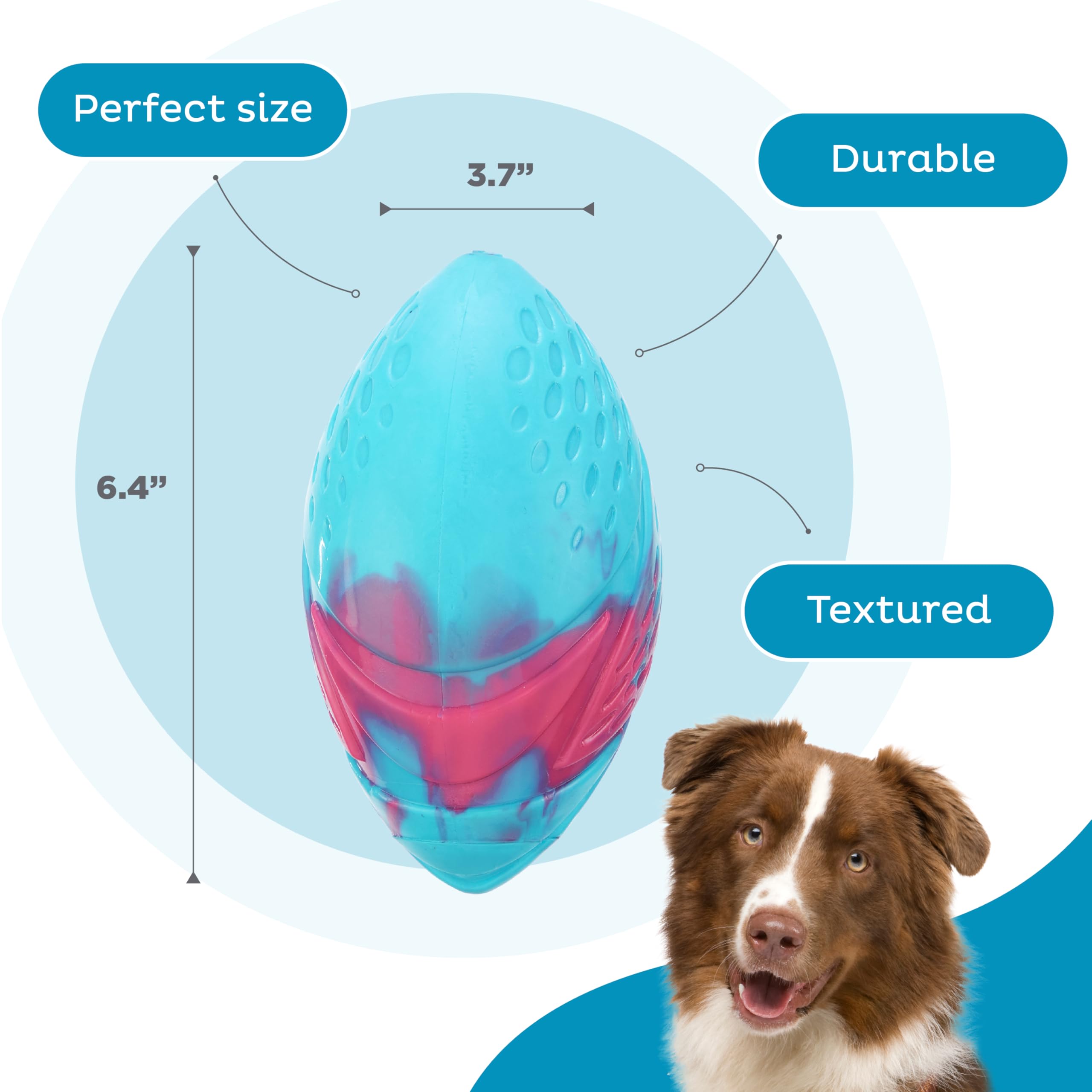Outward Hound Grunt N Punt Football Dog Toy - Throwing, Fetching Fun