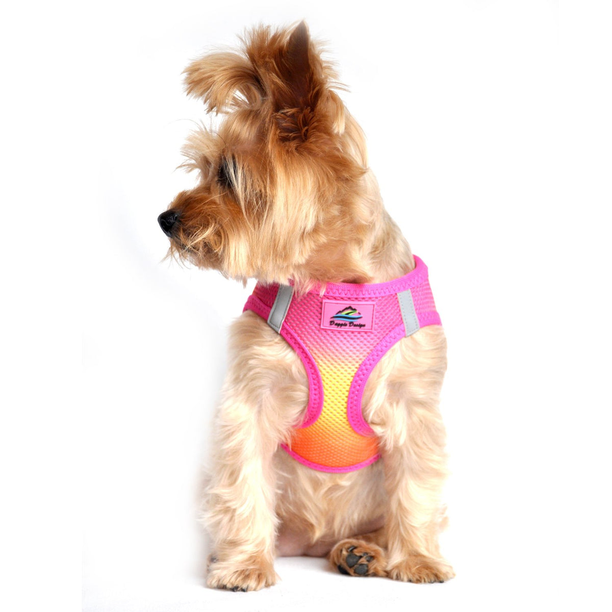 Doggie Design Dog Harness - No Choke Dog Harness, Dog Vest, Mesh Polyester, Pet Harness, Simple Step in and Go Design, Harness for Dog - Raspberry Pink and Orange - XS