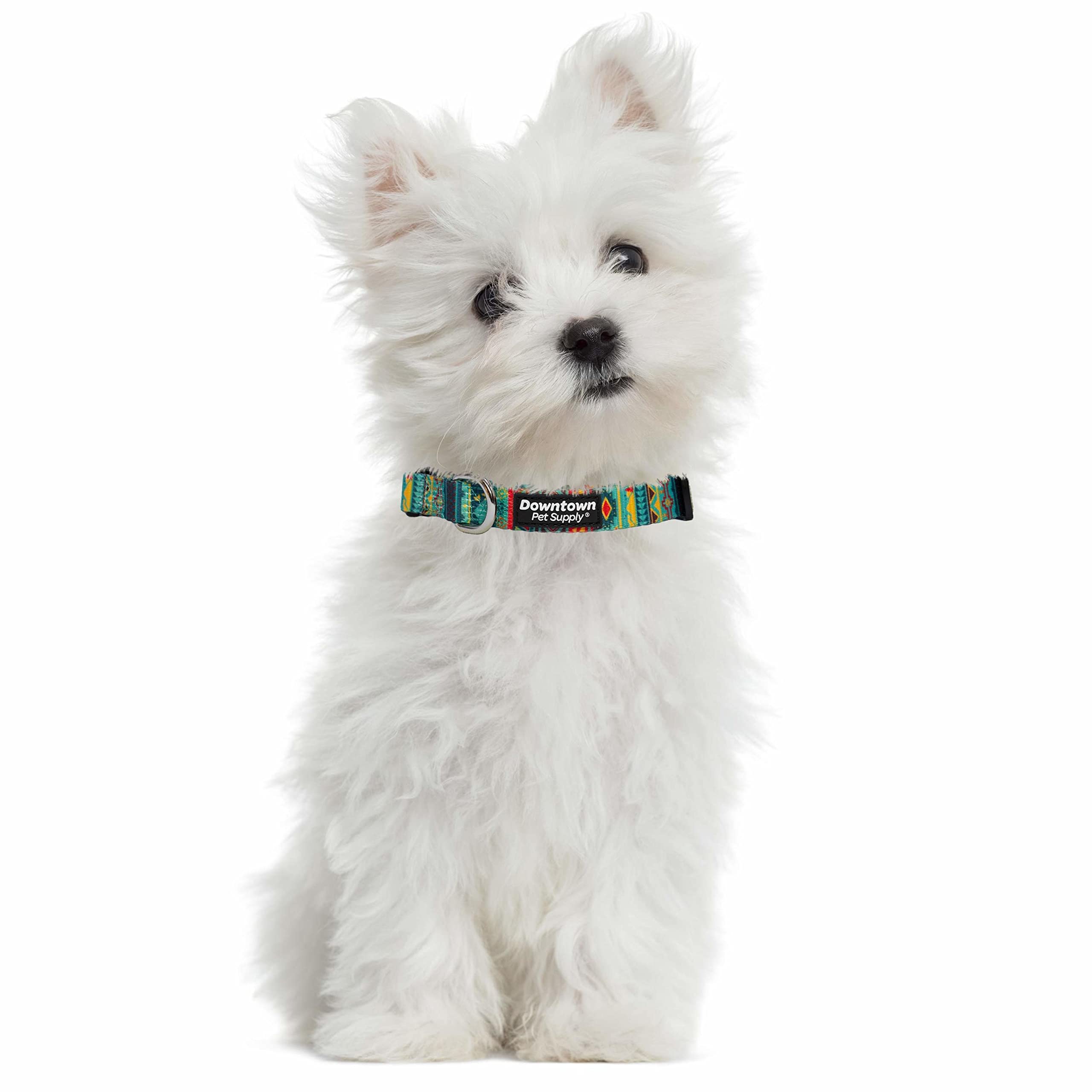Downtown Pet Supply - Best & Fancy Adjustable Dog Collar With Quick Buckle & D-Ring - Hand Wash Safe - Tribal - Medium