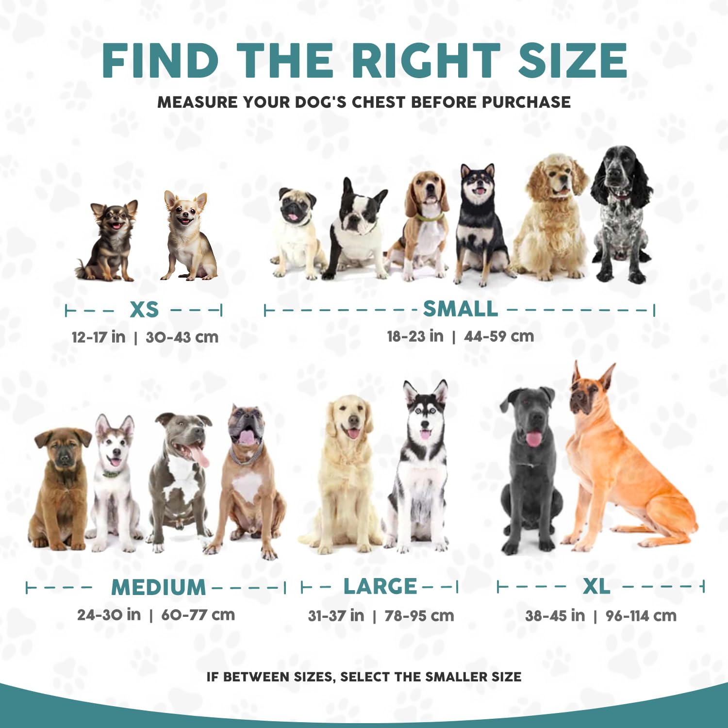 Embark Adventure Dog Harness No-Pull Dog Harness For Small Dogs, Medium & Large. 2 Leash Clips, Front & Back With Control Handle, Adjustable Orange Dog Vest For Any Breed, Soft & Padded For Comfort