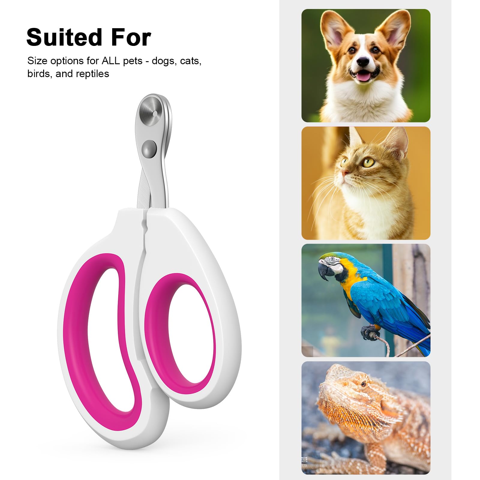 Cat Nail Clippers, Cat Claw Trimmers, Suitable For Small Animals Such As Cats, Birds, Hamsters, Rabbits, Hedgehogs, Ferrets, Chi