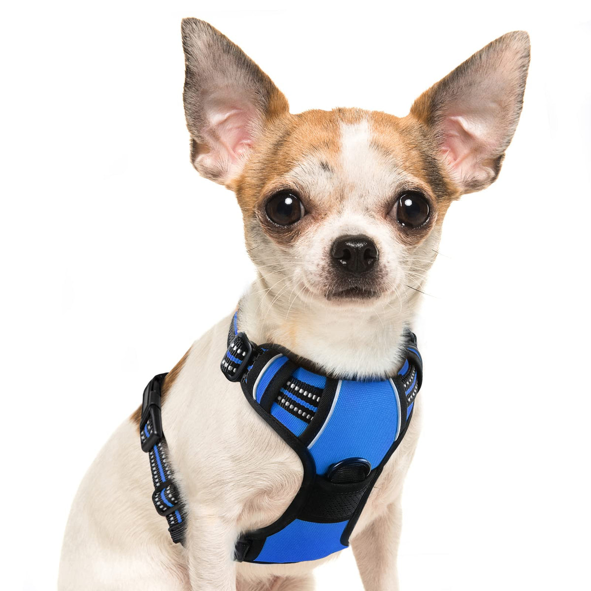 Eagloo Dog Harness Small Sized Dog, No Pull Service Vest With Reflective Strips And Control Handle, Adjustable And Comfortable For Easy Walking, No Choke Pet Harness With 2 Metal Rings, Blue, S