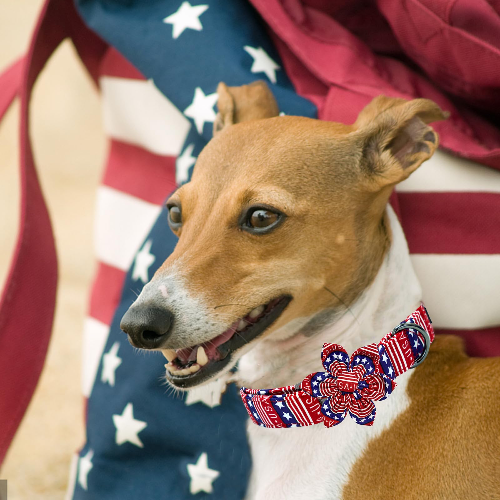 Elegant Little Tail Independence Dog Collar, Patriotic Pet Collar With Flower American 4Th Of July Pet Gift Cotton Soft Boy Girl