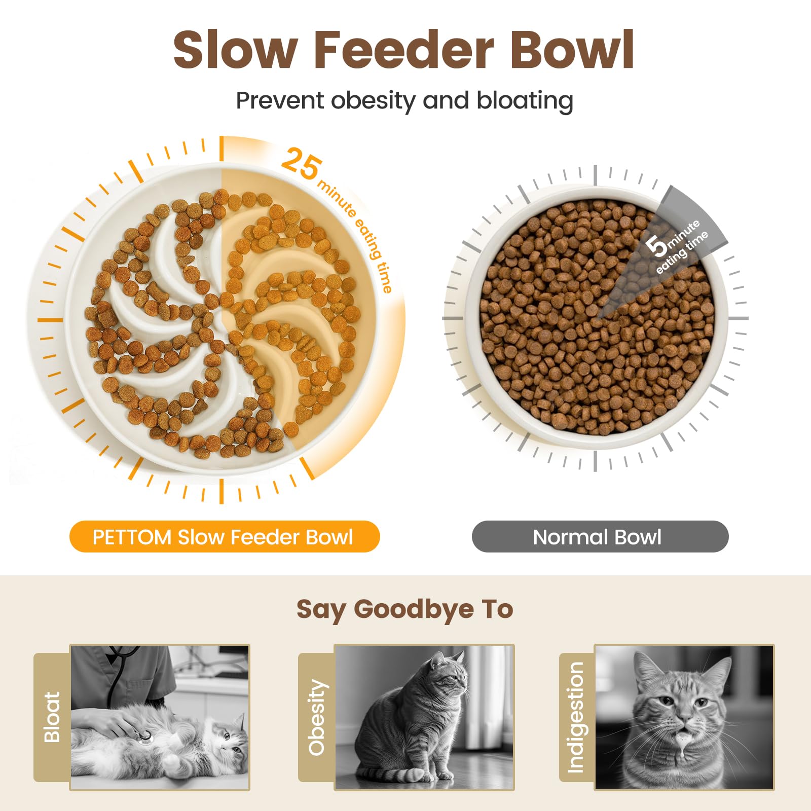 PETTOM Slow Feeder Cat Bowl with Stand, Ceramic Slow Eating Cat Bowl with Higher Edges ,Elevated Cats Food Bowls for Dry and Wet