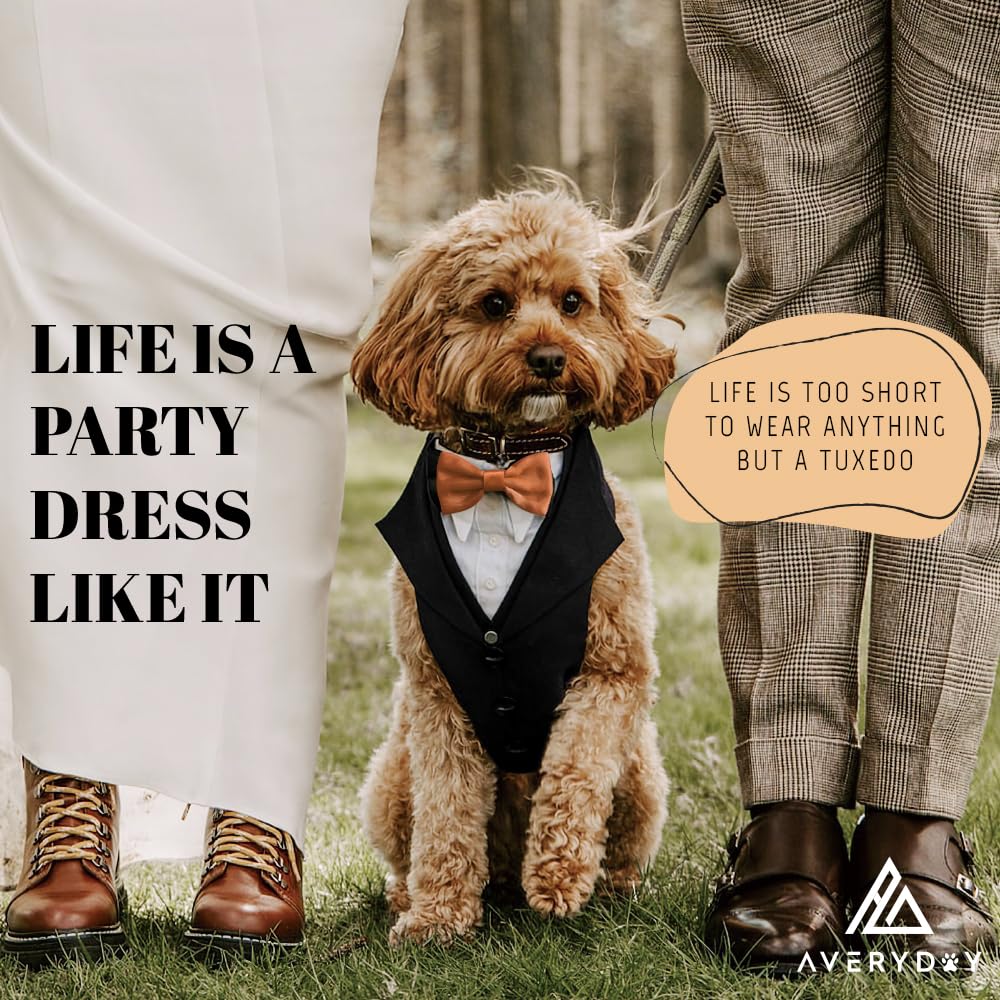 AVERYDAY Dog Tuxedo Suit with Bowtie, Large (L), Blue Tux & Champagne Tie, Polyester, Model DTX-002, Perfect for Weddings & Parties