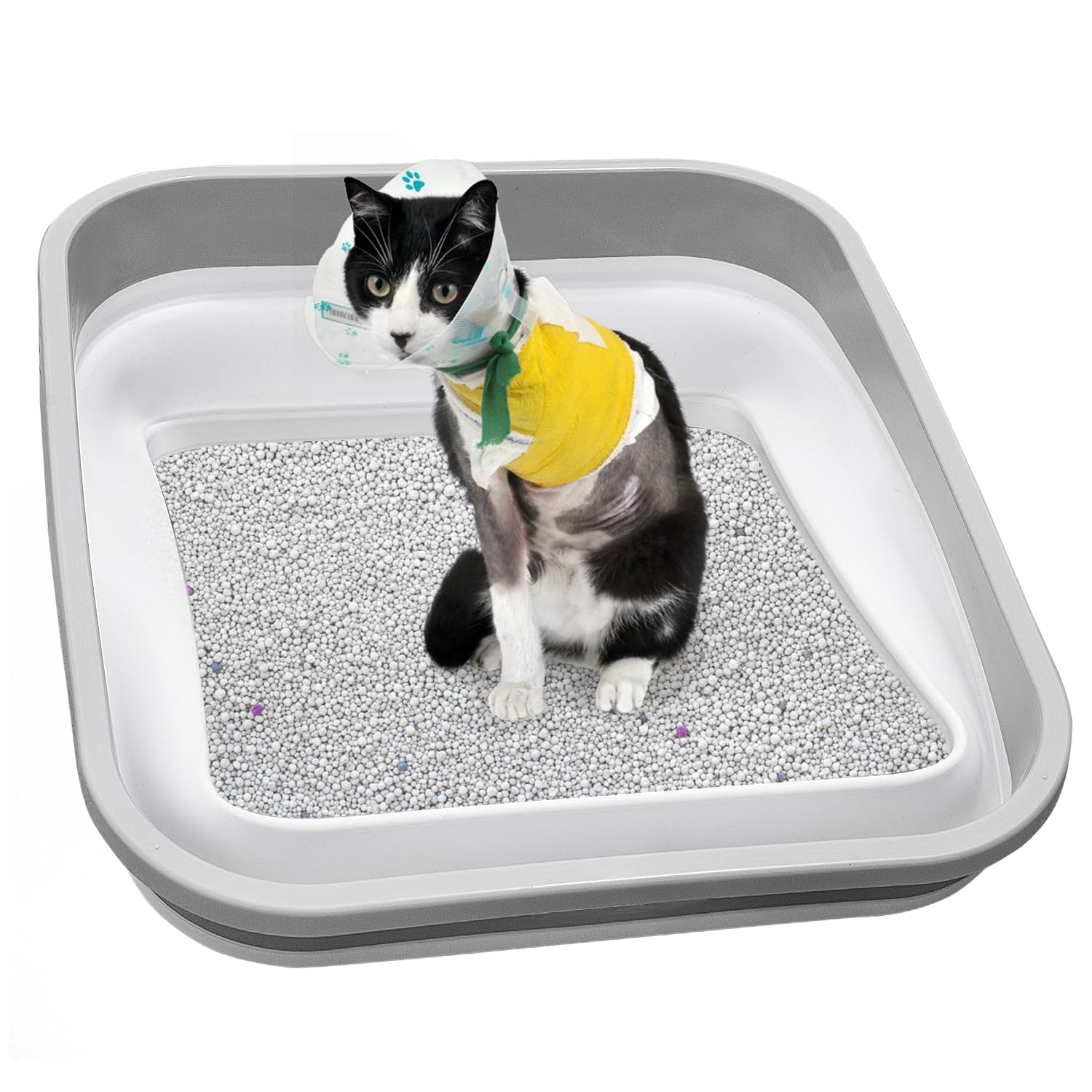 Maohegou Senior Cat Litter Box, Three Legged Arthritic Open Low Entry For Sick Frail Handicap Disabled Cats, Older Elderly Corne