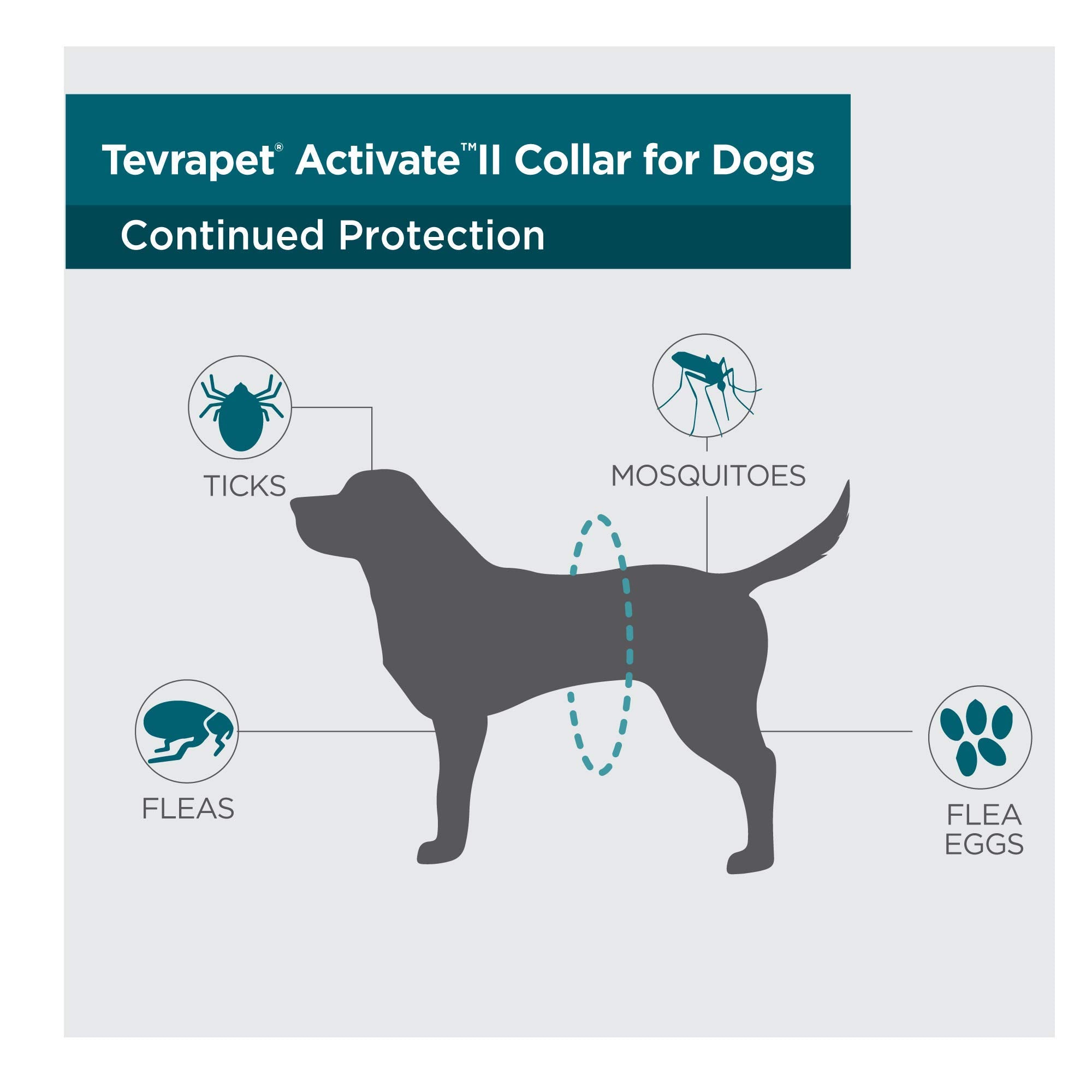 Tevrapet Activate Ii Flea And Tick Collar For Dogs, 12 Months Prevention, 2 Count, One Size Fits All