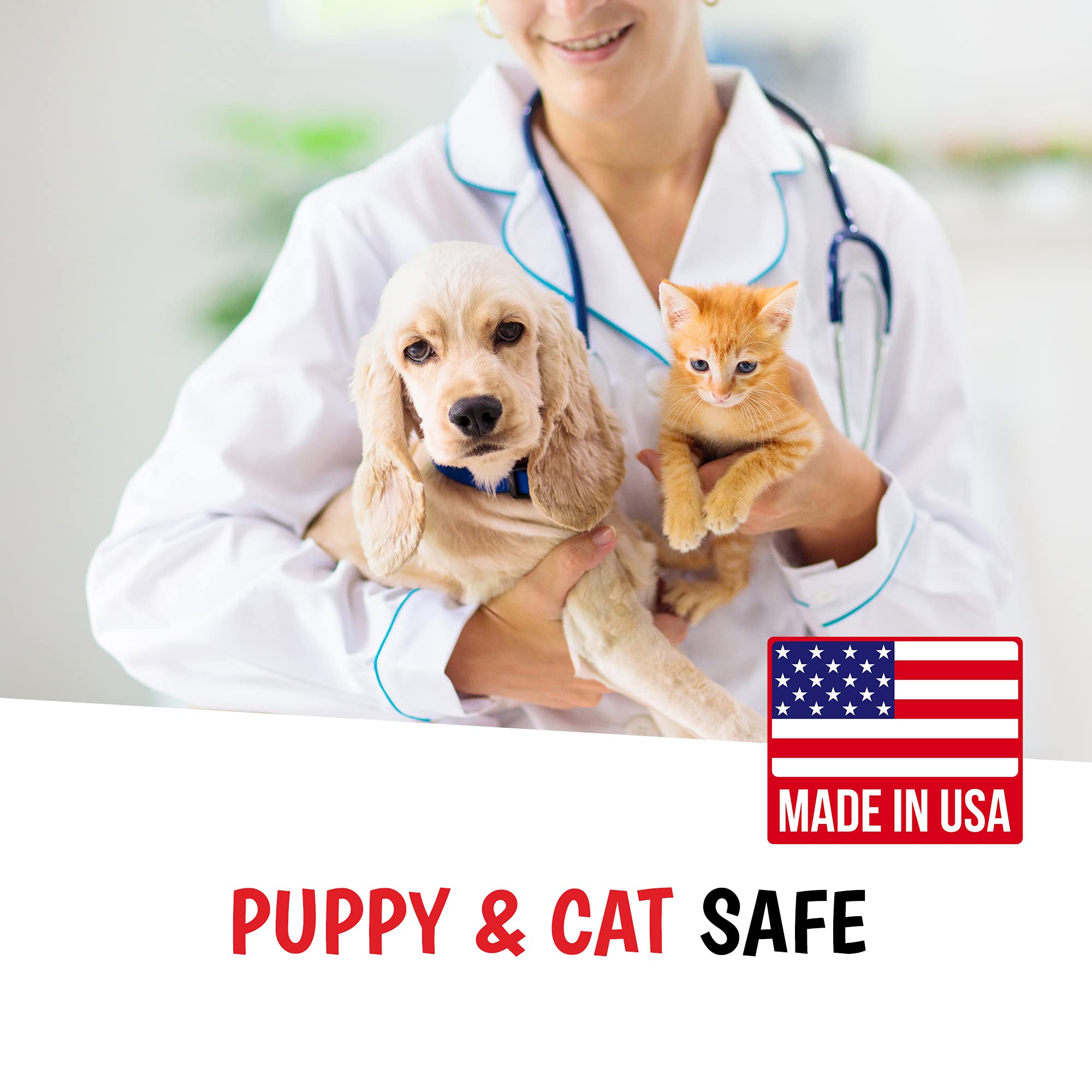 Warren London 10-In-1 After Bath Dog Spray | Dog Leave In Conditioner And Detangler Spray | Pet Grooming Spray With Aloe Vera, Silk Amino Acids And Green Tea Extract | Made In Usa | 4Oz