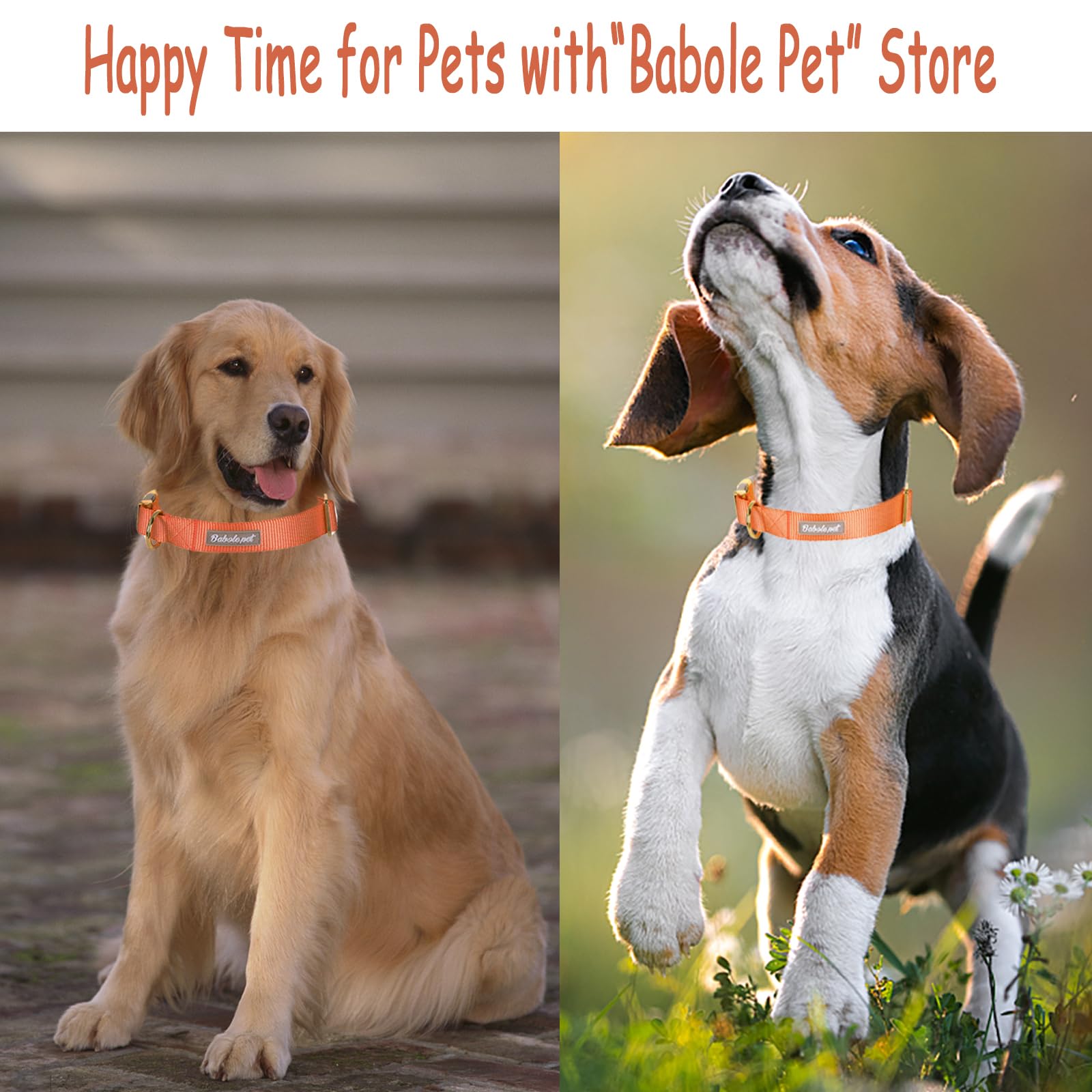 Babole Pet Nylon Dog Collar - Adjustable Orange Soft Webbing Dog Collars For Small Medium Large Dogs Boy Girl Puppy Collar With