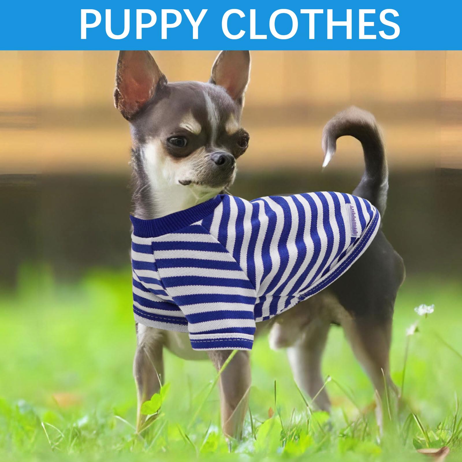2 Pieces Stripe Dog Shirt For Small Dogs Summer Dog Clothes Cute Soft Puppy Clothes Bresthable Chihuahua Cat Clothes Xs~Xxl Pet