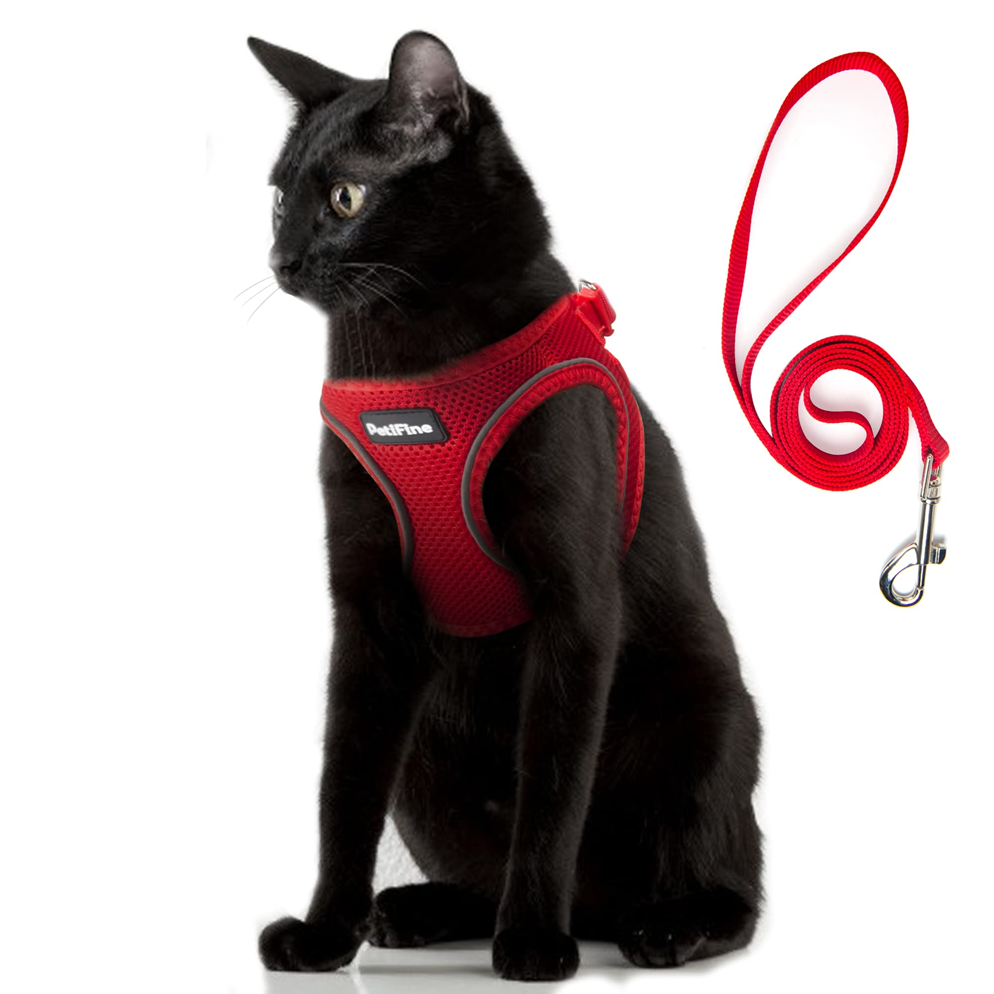 Petifine Extra Small Step In Dog Harness And Leash Set, Cat Harness And Leash Escape Proof, All Weather Mesh Reflective, Step-In Air Vest Harnesses For Puppy(Xxs, Red)