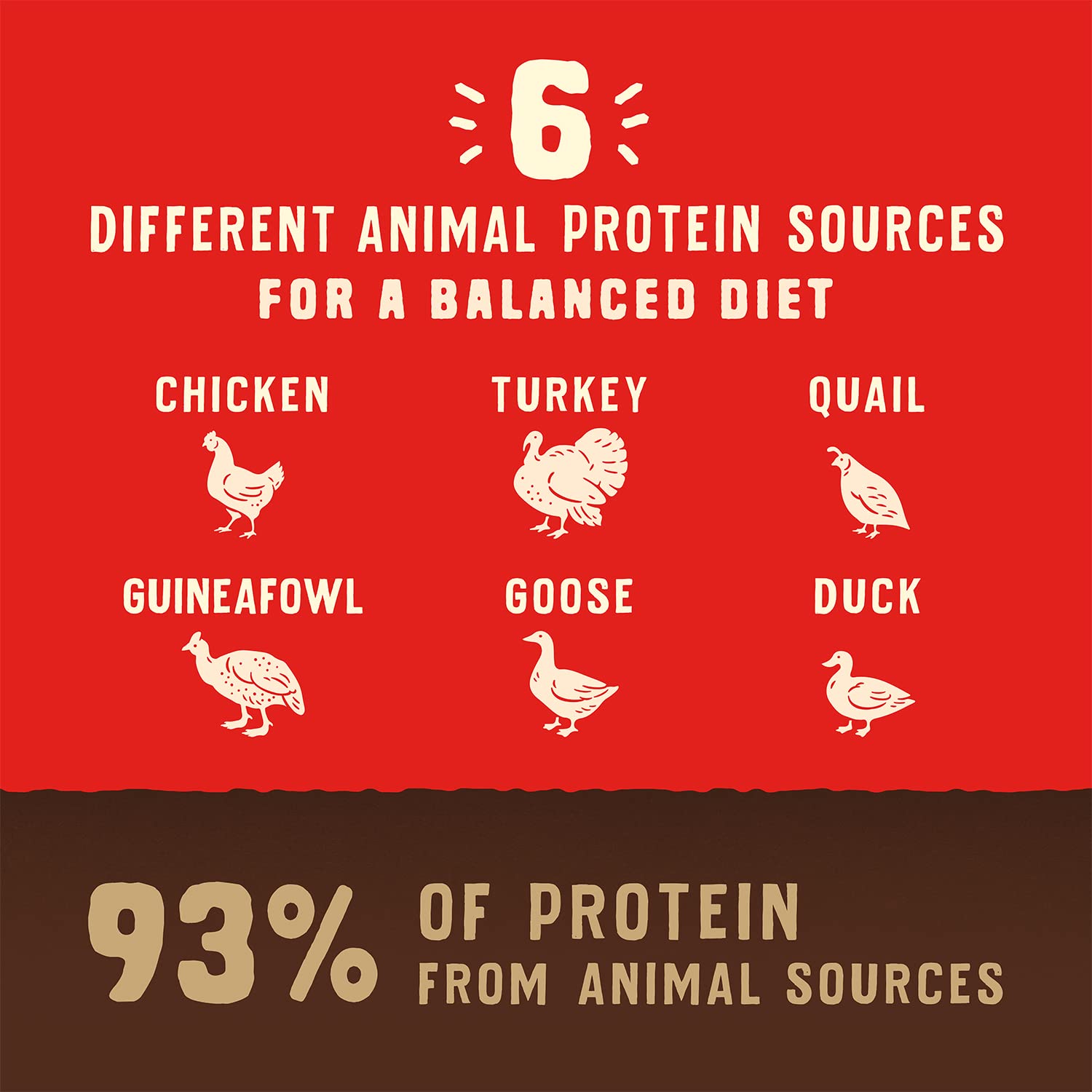 Stella & Chewys Wild Red Raw Blend Kibble - Premium Freeze-Dried Raw Coated Dog Food - Perfect For Picky Eaters - High Protein