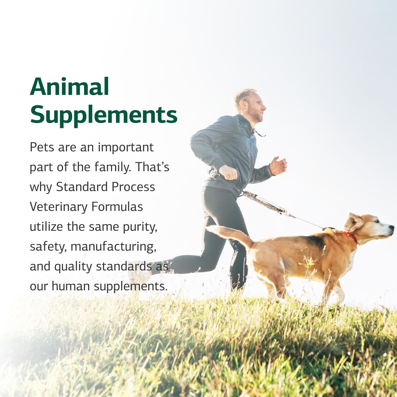 Standard Process Canine Musculoskeletal Support Supplement - Bone & Joint Health for Dogs - 30 g