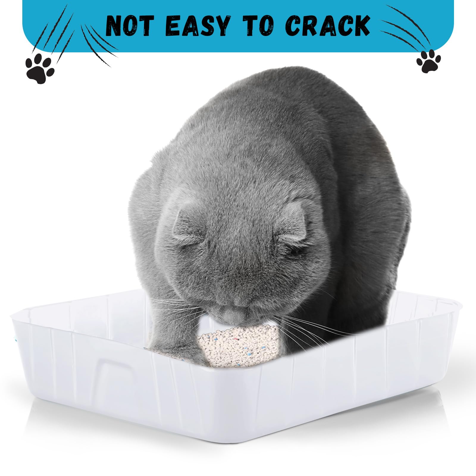 Bokon 50 Pieces Disposable Litter Boxes For Cats Small Kitty Litter Tray For Pets Plastic Litter Boxes For Indoor Cats Kitten Ha